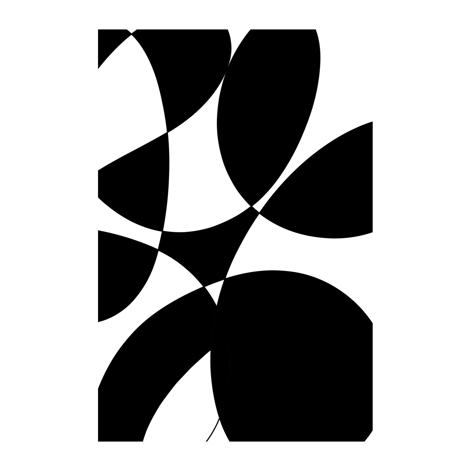 Abstract Curves Geometric Black & White Wall Art