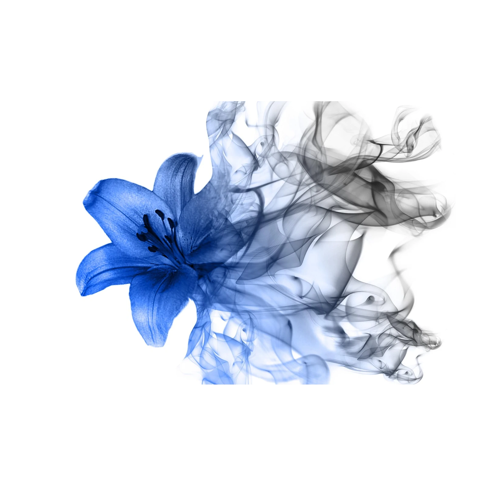 Blue Lily Smoke Modern Wall Art