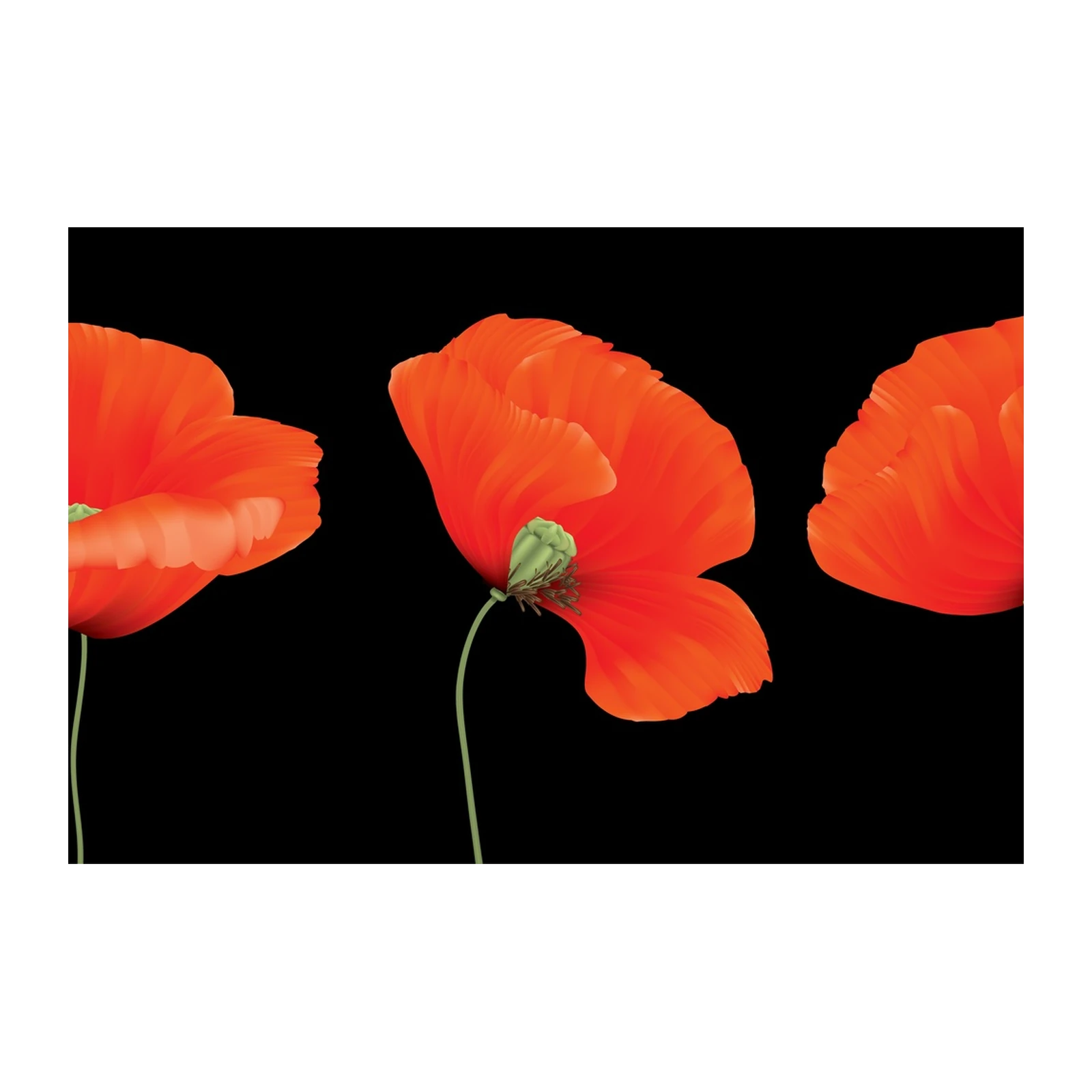 Vibrant Red Poppies on Black Wall Art