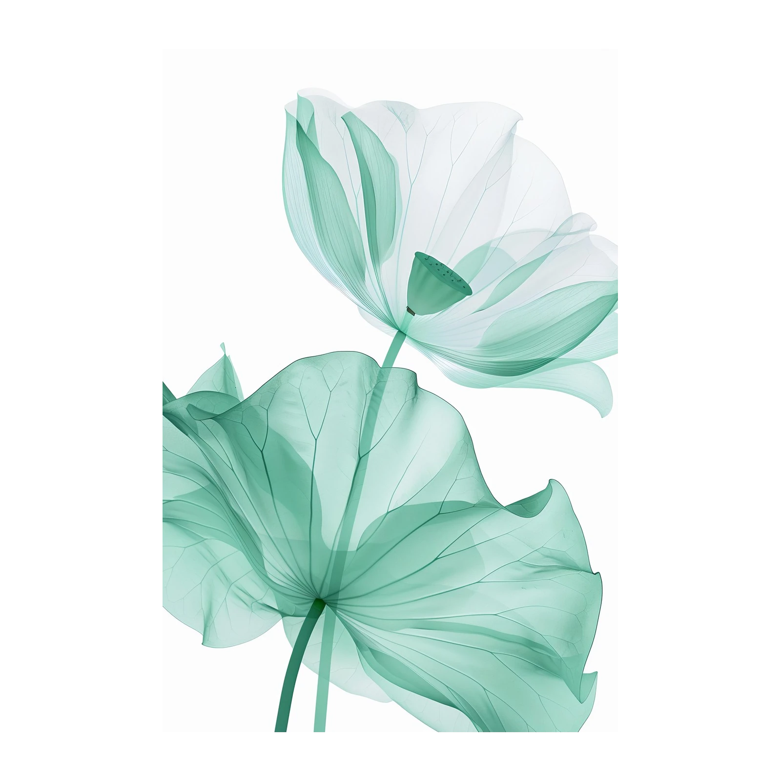 Serene Aqua Lotus Bloom Wall Art