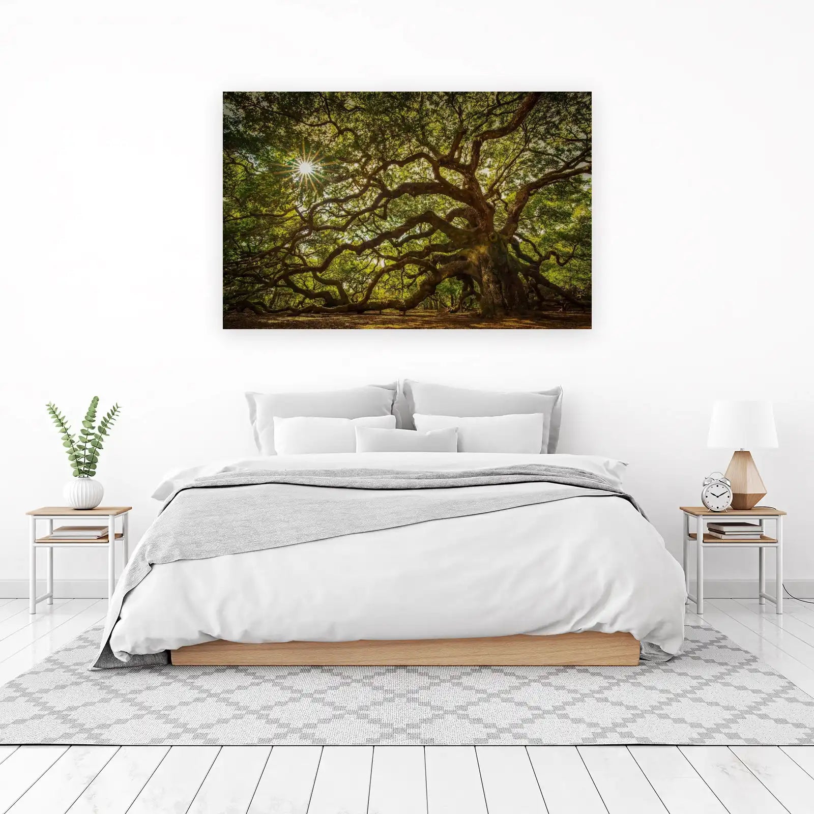 Majestic Oak Tree Sunburst Wall Art