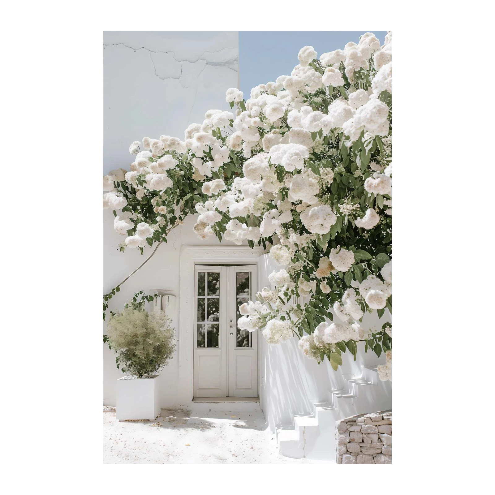 White Hydrangeas Over Doorway Wall Art