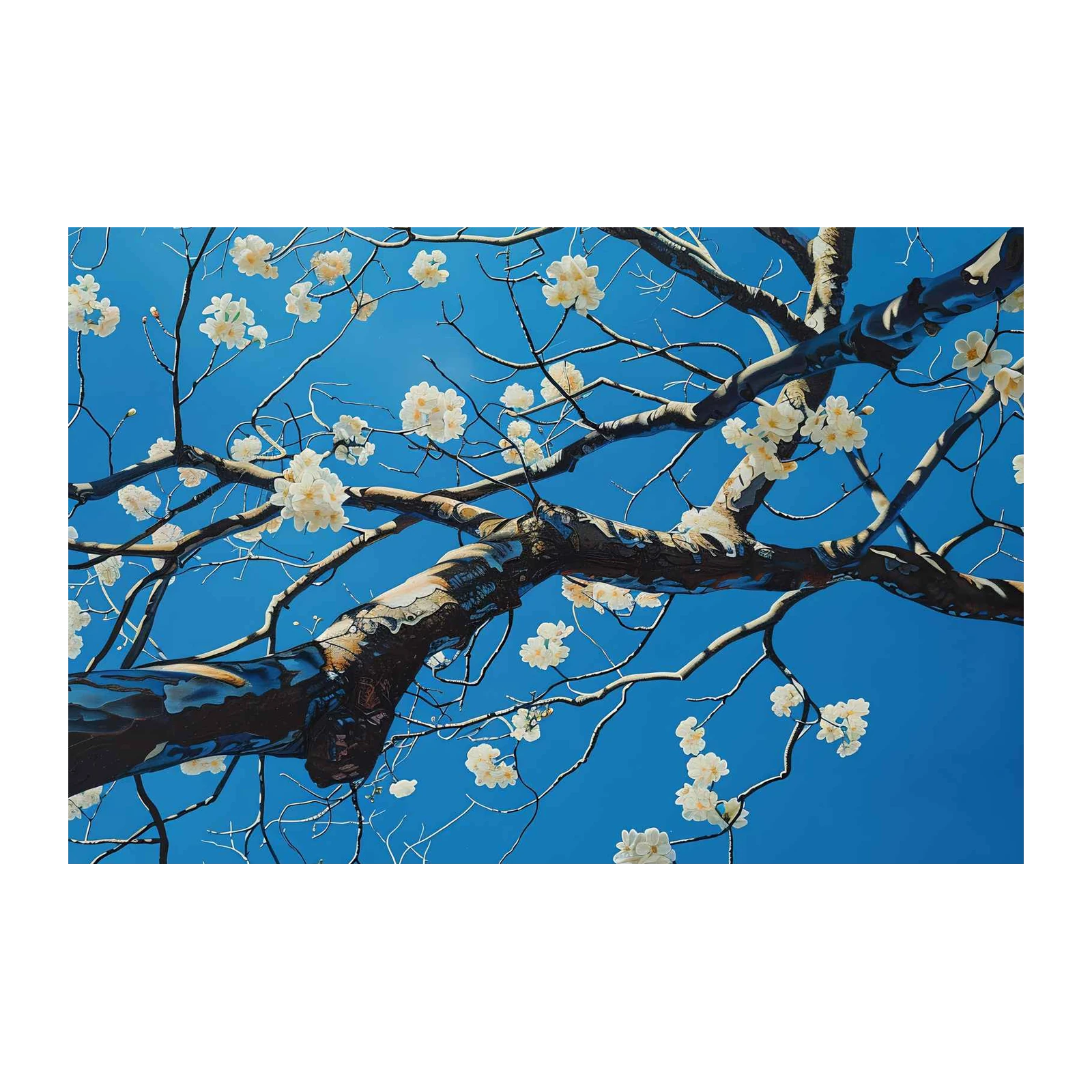 Serene Cherry Blossom Sky Wall Art