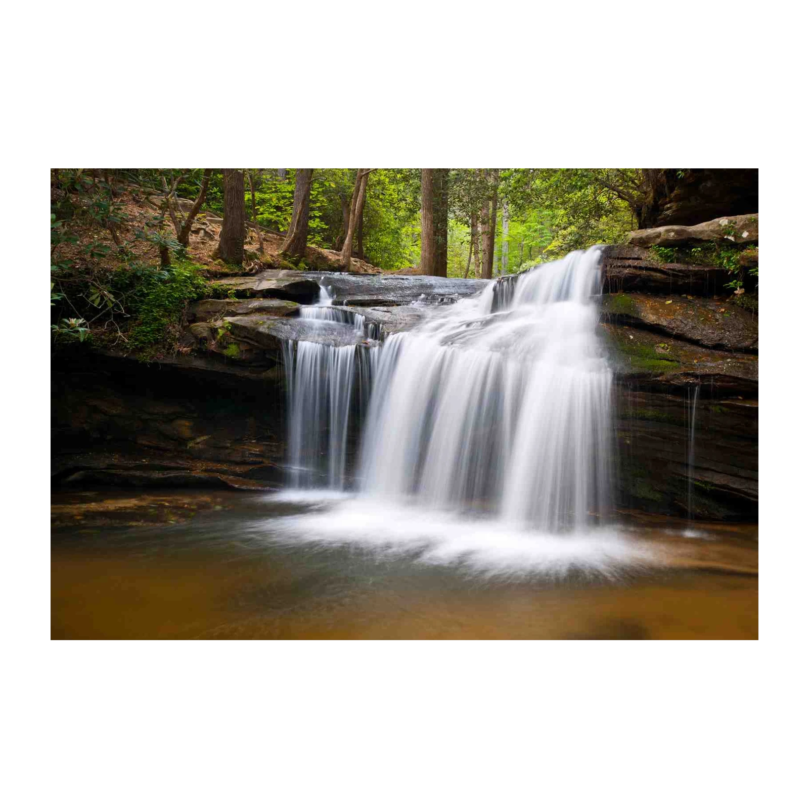 Serene Forest Waterfall Wall Art