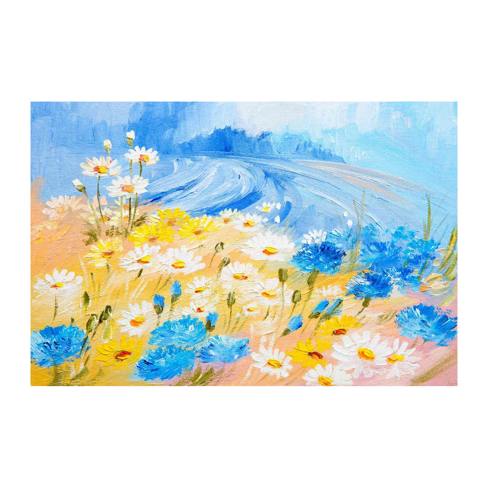 Vibrant Daisy & Cornflower Meadow Wall Art