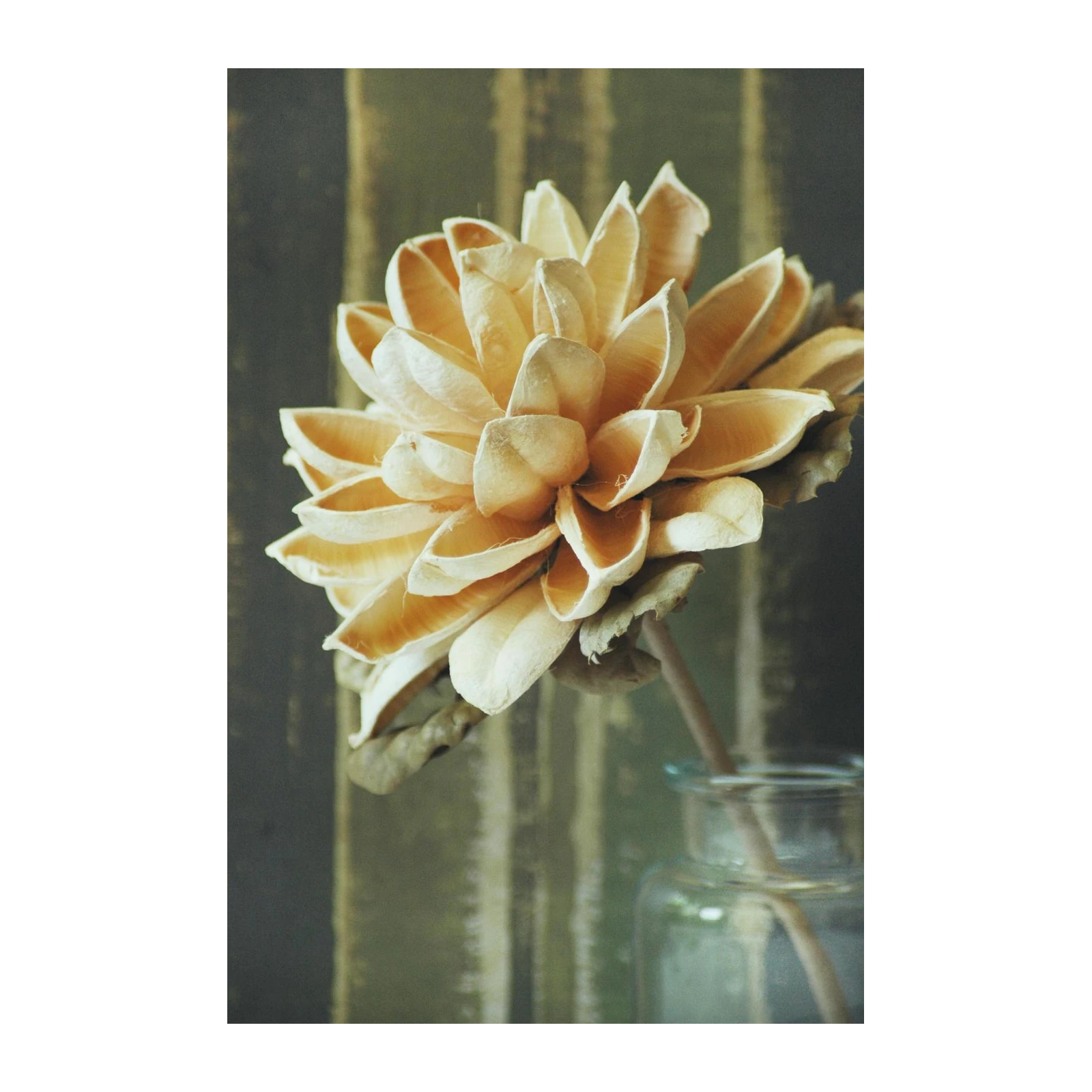 Golden Petal Bloom Still Life Wall Art