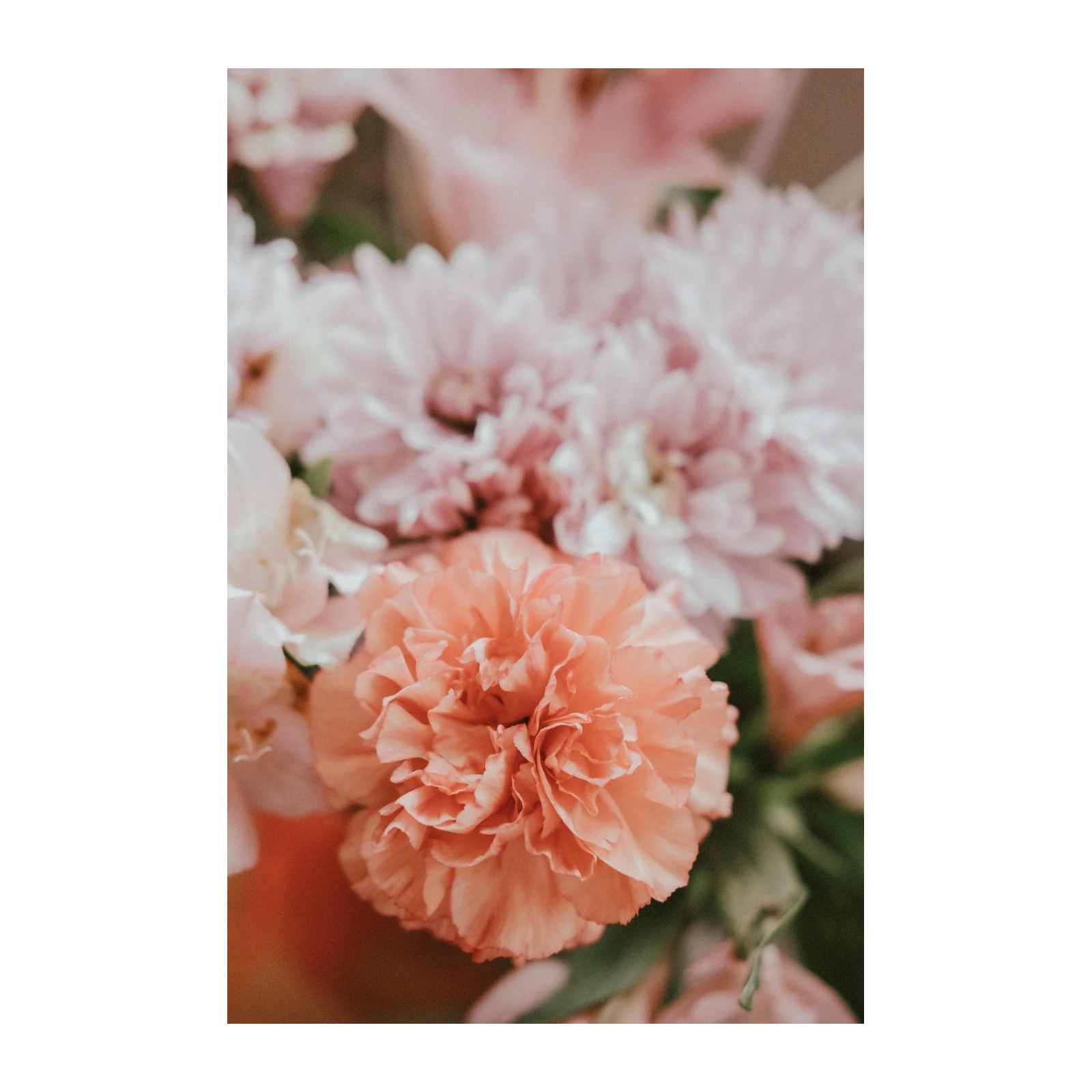 Soft Peach & Pink Floral Dream Wall Art
