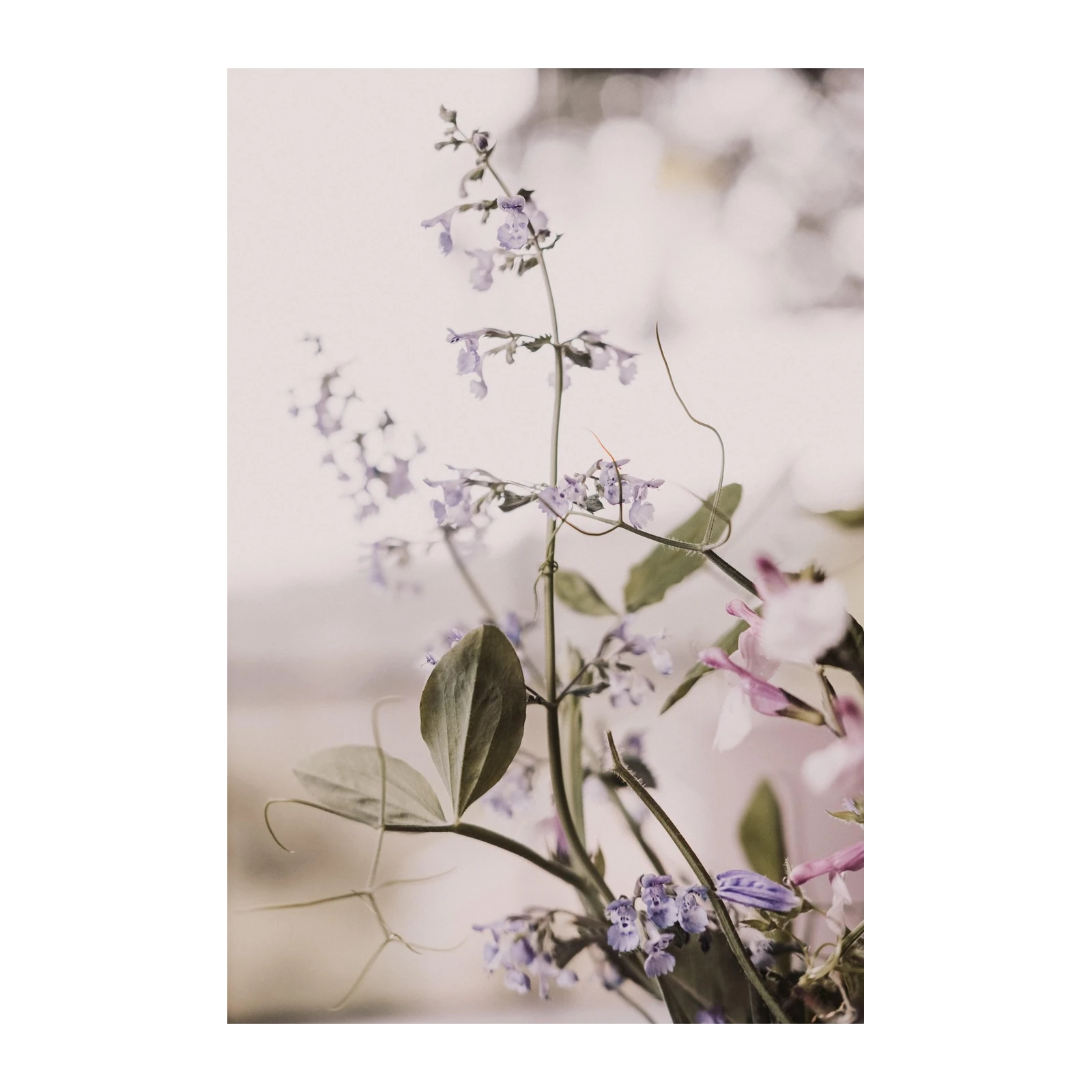 Delicate Lavender Floral Dream Wall Art