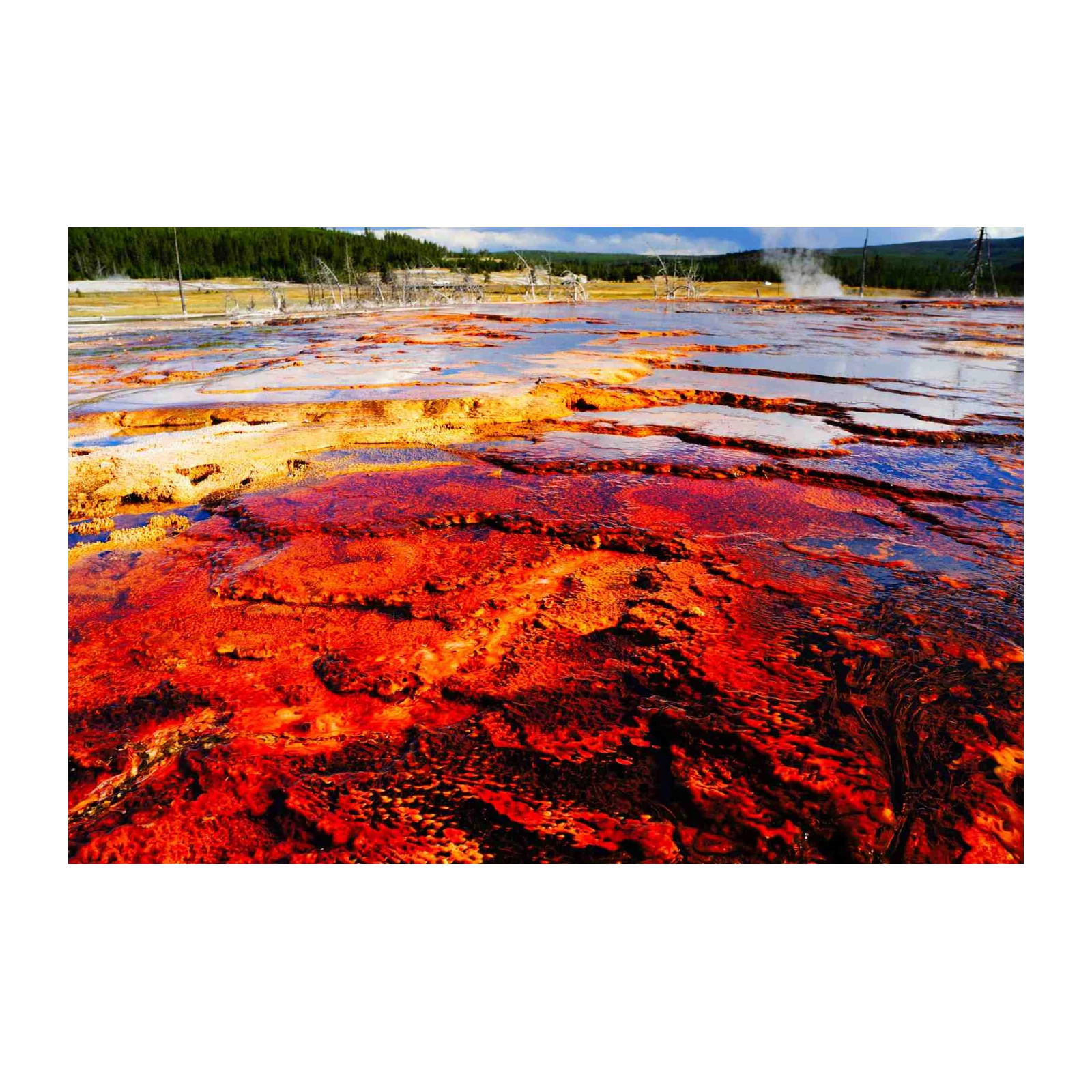 Vibrant Thermal Pool Landscape Wall Art