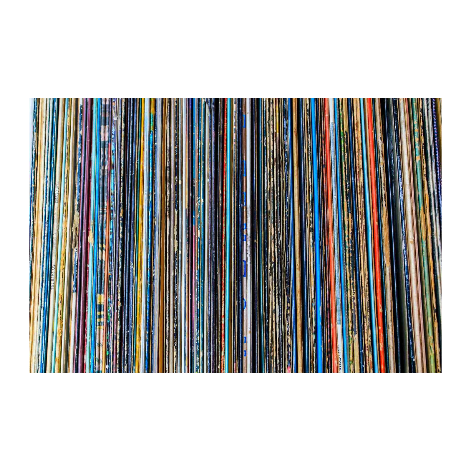 Vibrant Vinyl Spine Collection Wall Art Wall Art