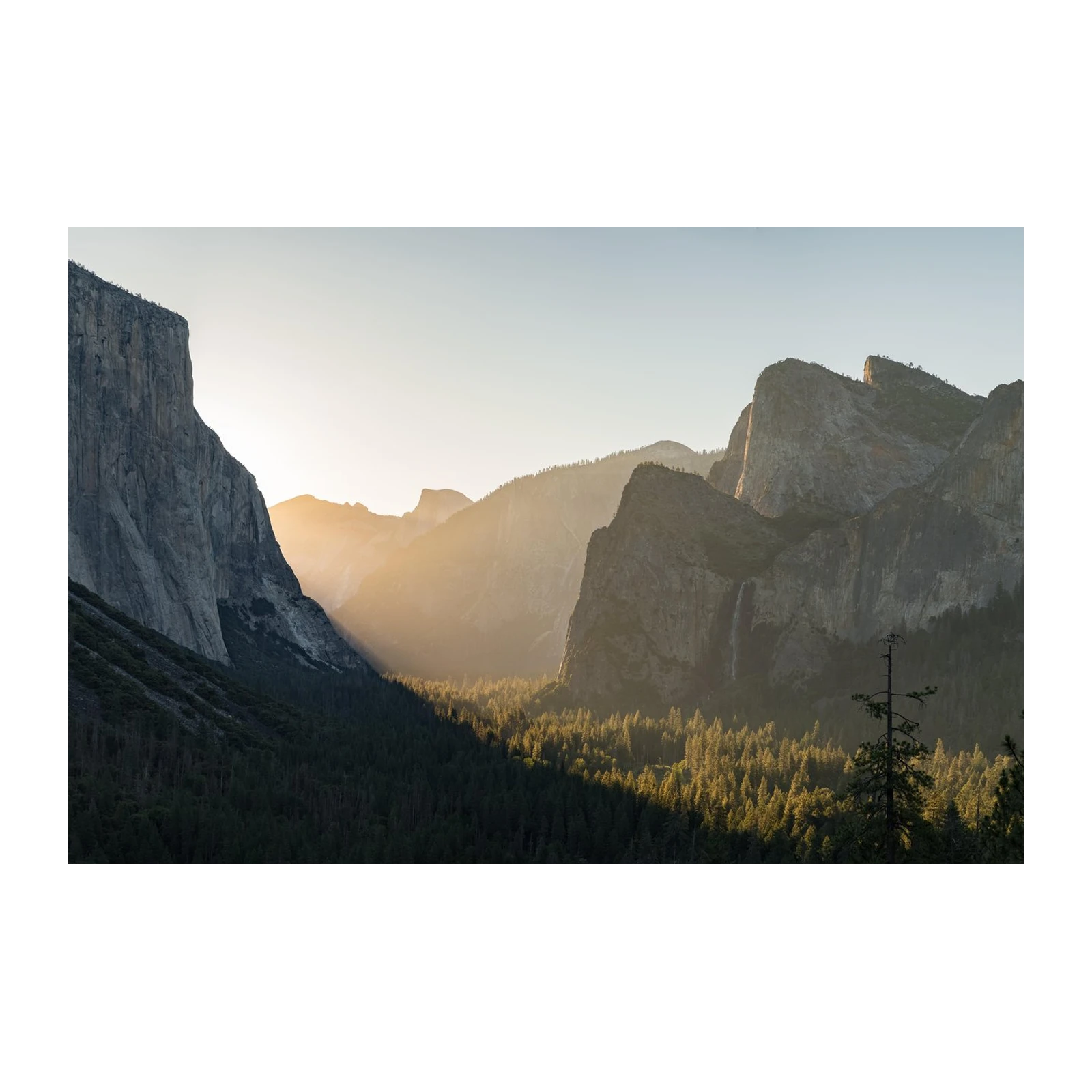 Golden Yosemite Valley Landscape Wall Art
