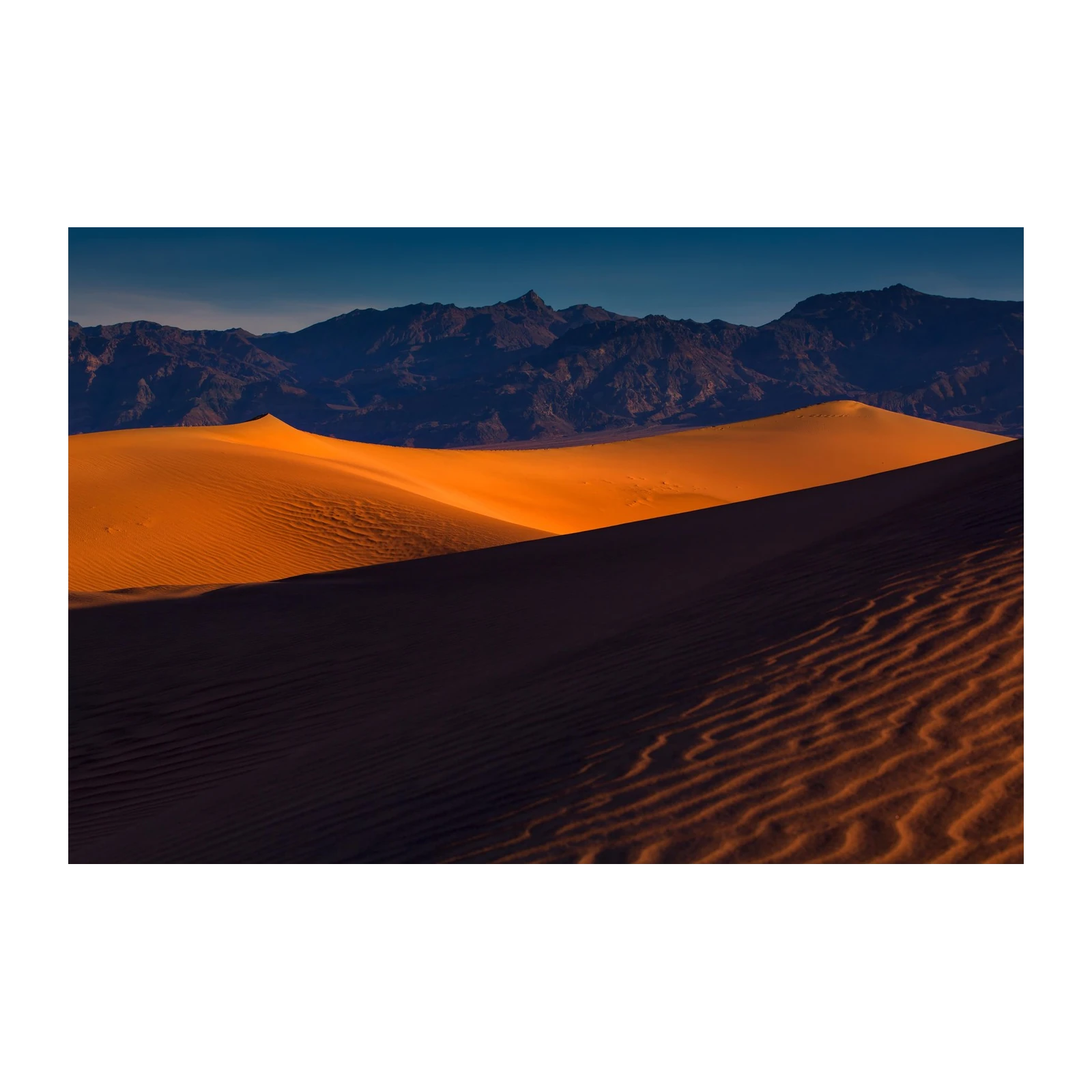 Golden Desert Dunes Wall Art