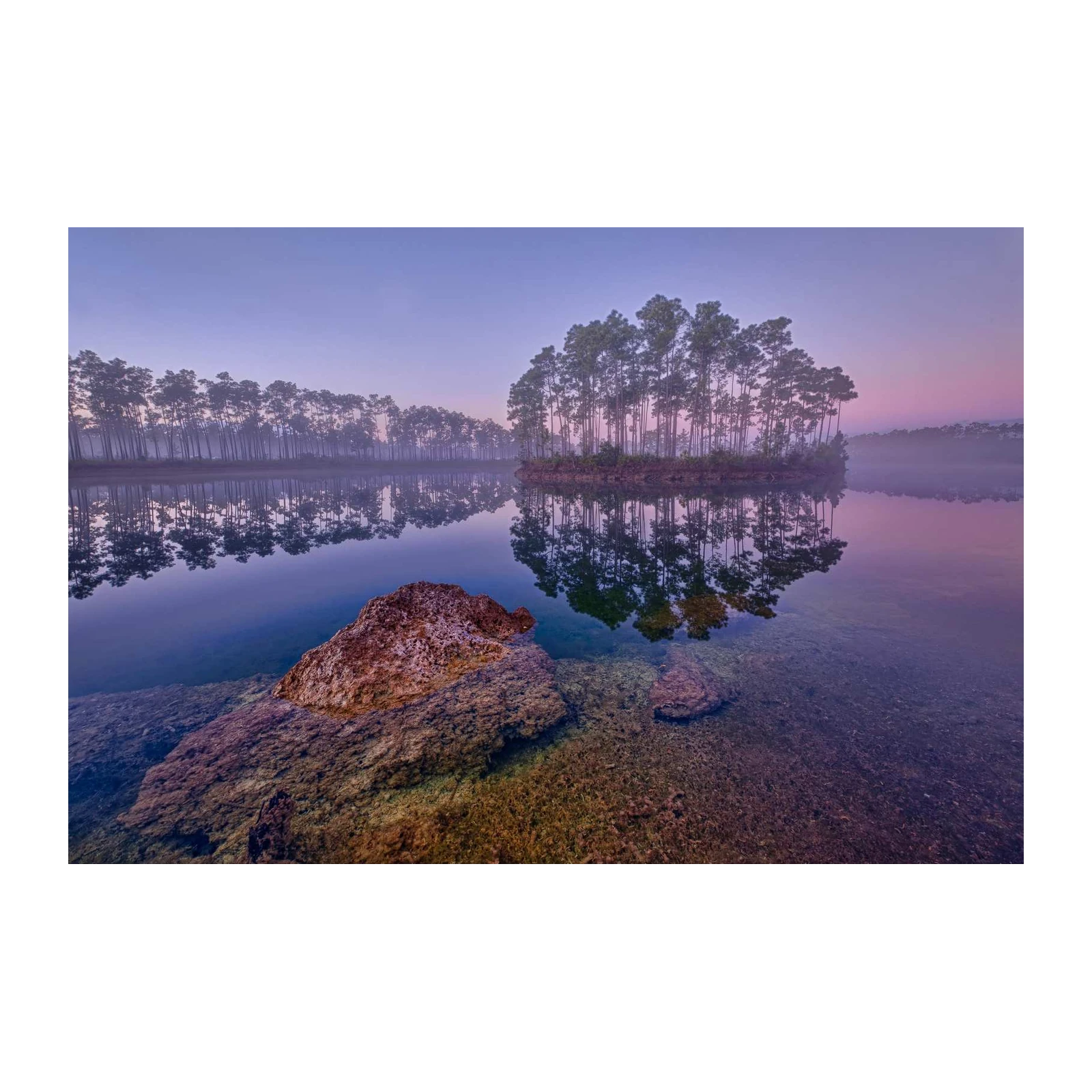 Serene Sunrise Forest Lake Wall Art