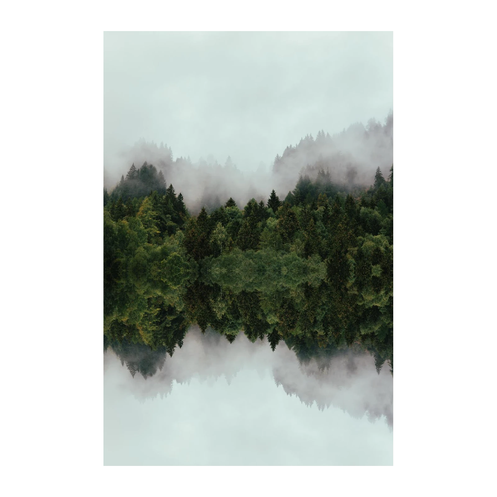 Misty Forest Reflection Wall Art