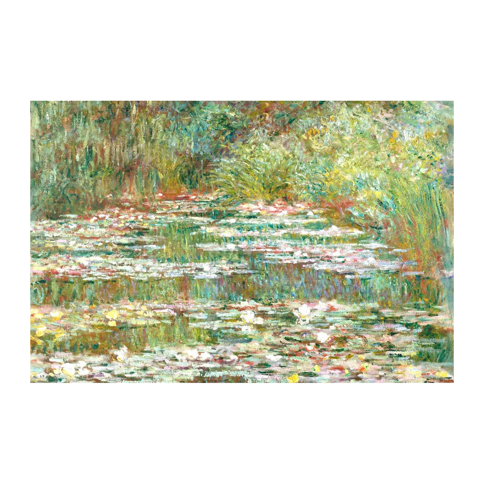 Serene Water Lilies Landscape Wall Art