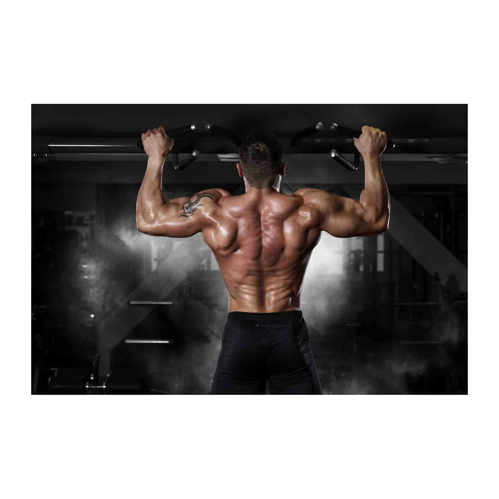 Dominating Back Muscles Gym Motivation Wall Art