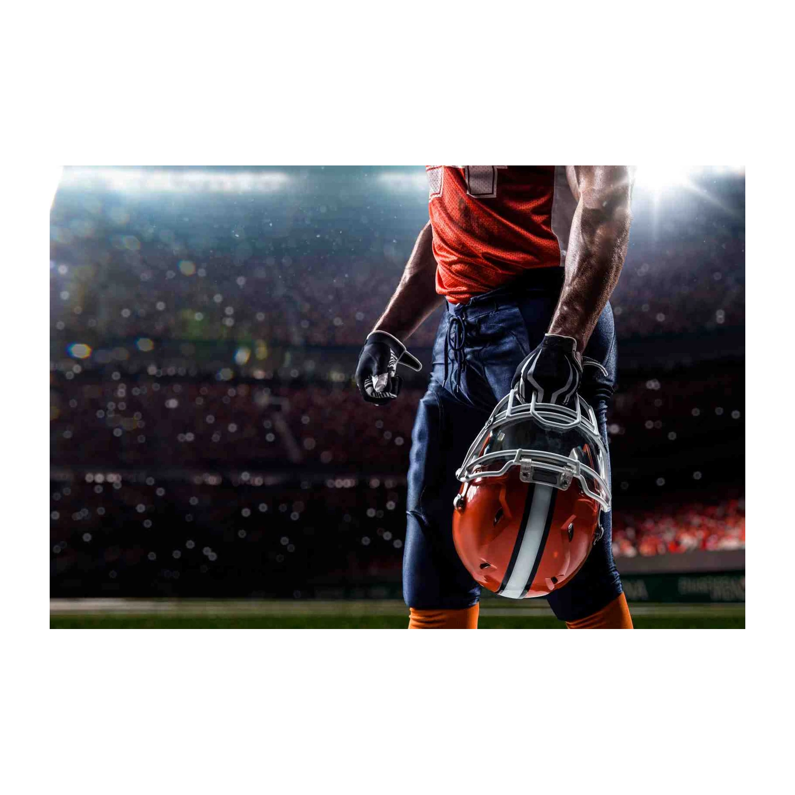 Football Player Helmet Arena Wall Art