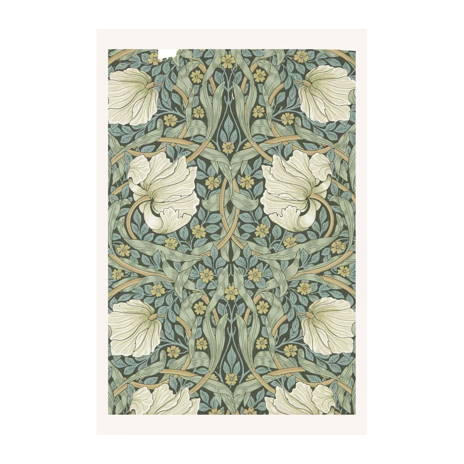 William Morris Floral Botanical Wall Art
