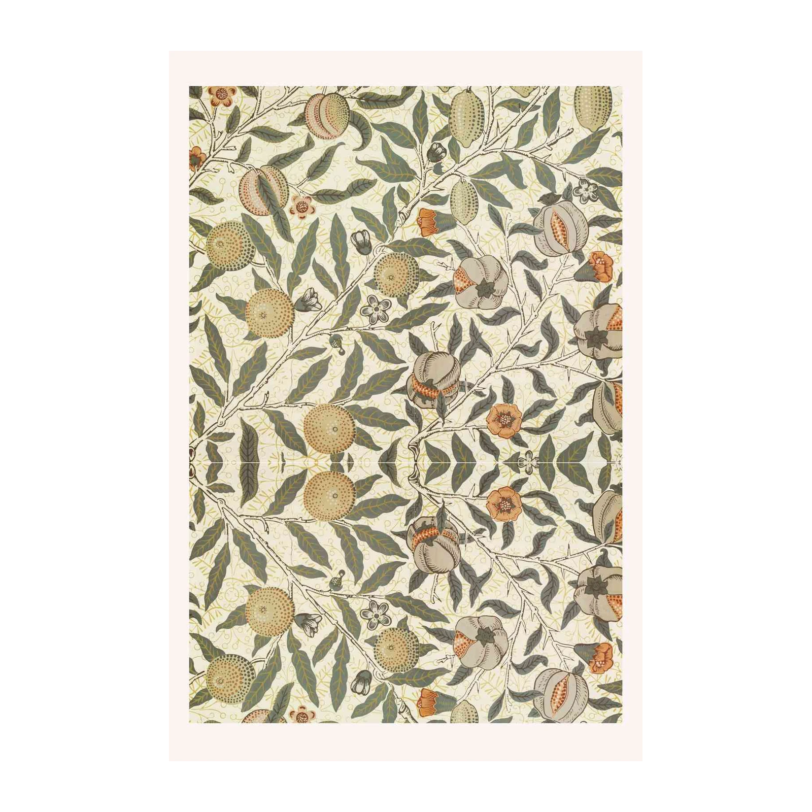 Vintage Botanical Pomegranate Wall Art Wall Art