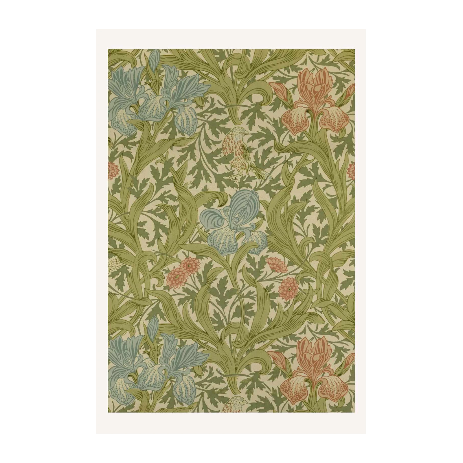 Vintage Iris & Bird Floral Wall Art