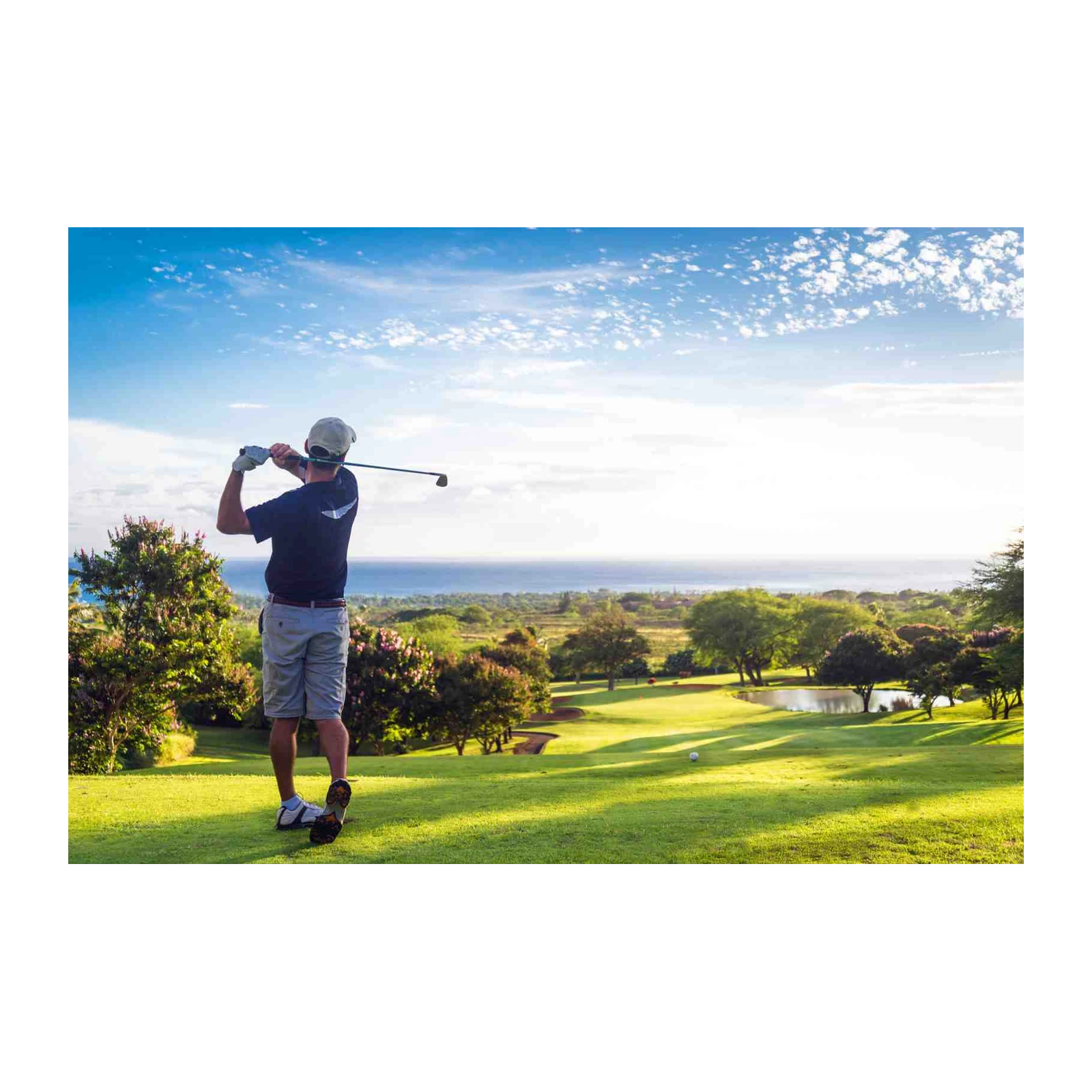 Golfer's Ocean View Driving Wall Art