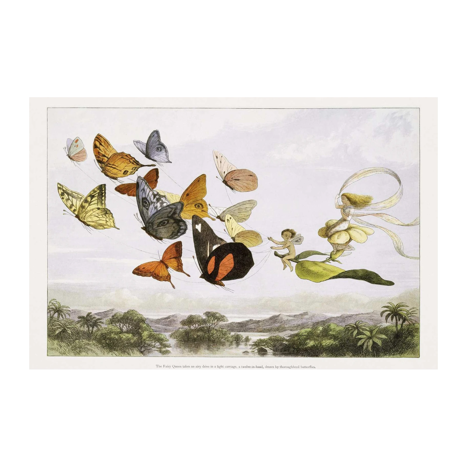 Enchanted Fairy Butterfly Carriage Wall Art