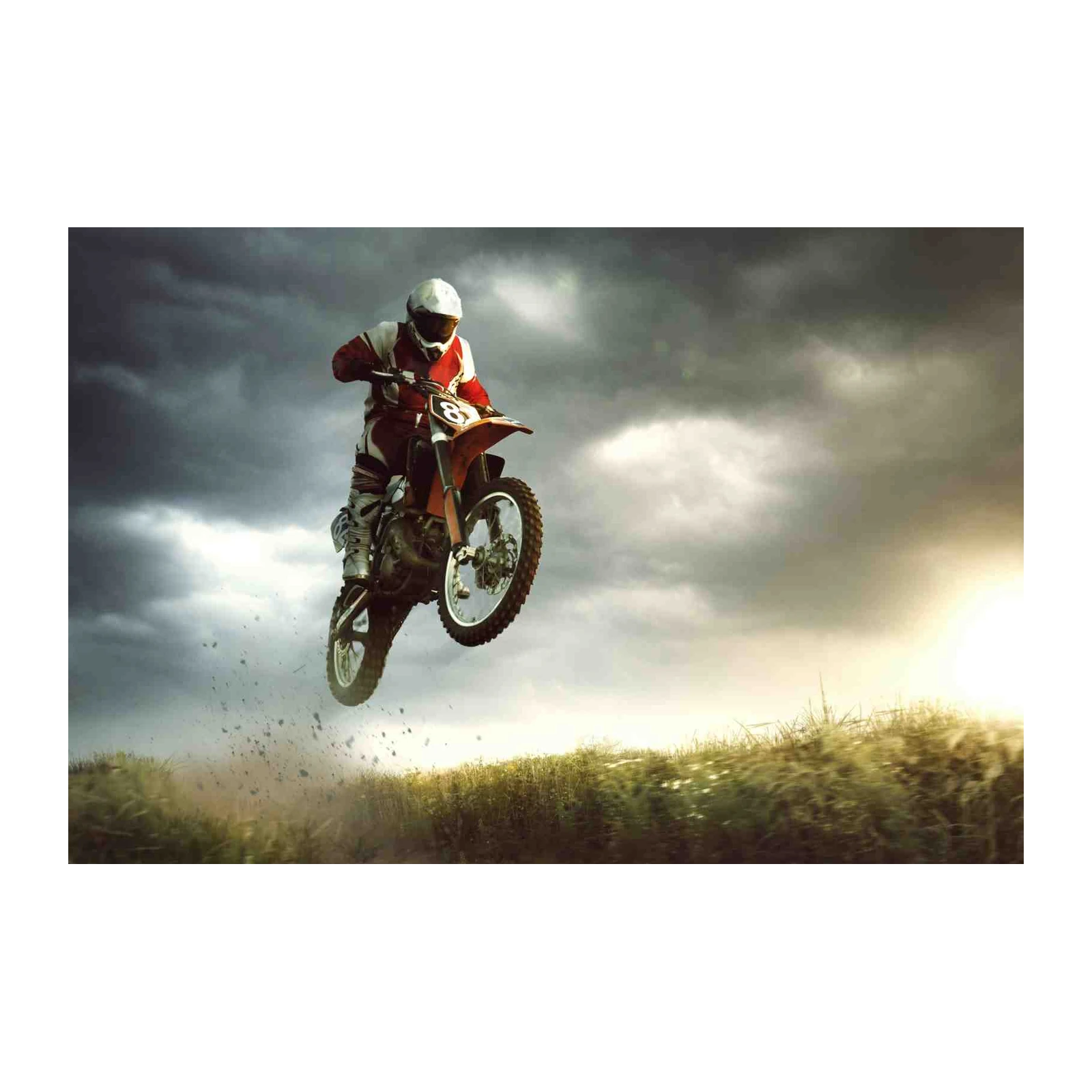 Extreme Motocross Jump Dynamic Wall Art