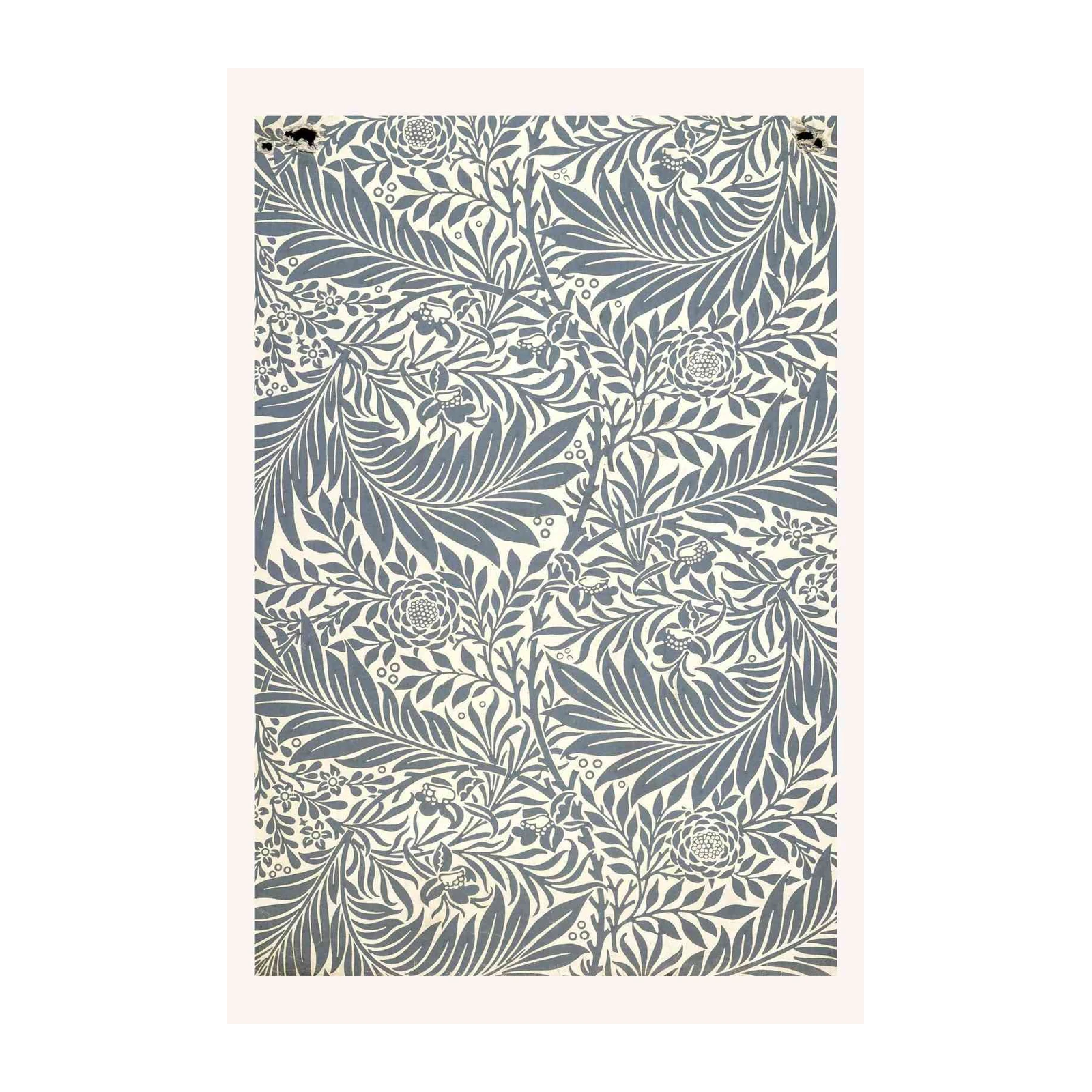 Vintage Floral Blue Botanical Art Wall Art