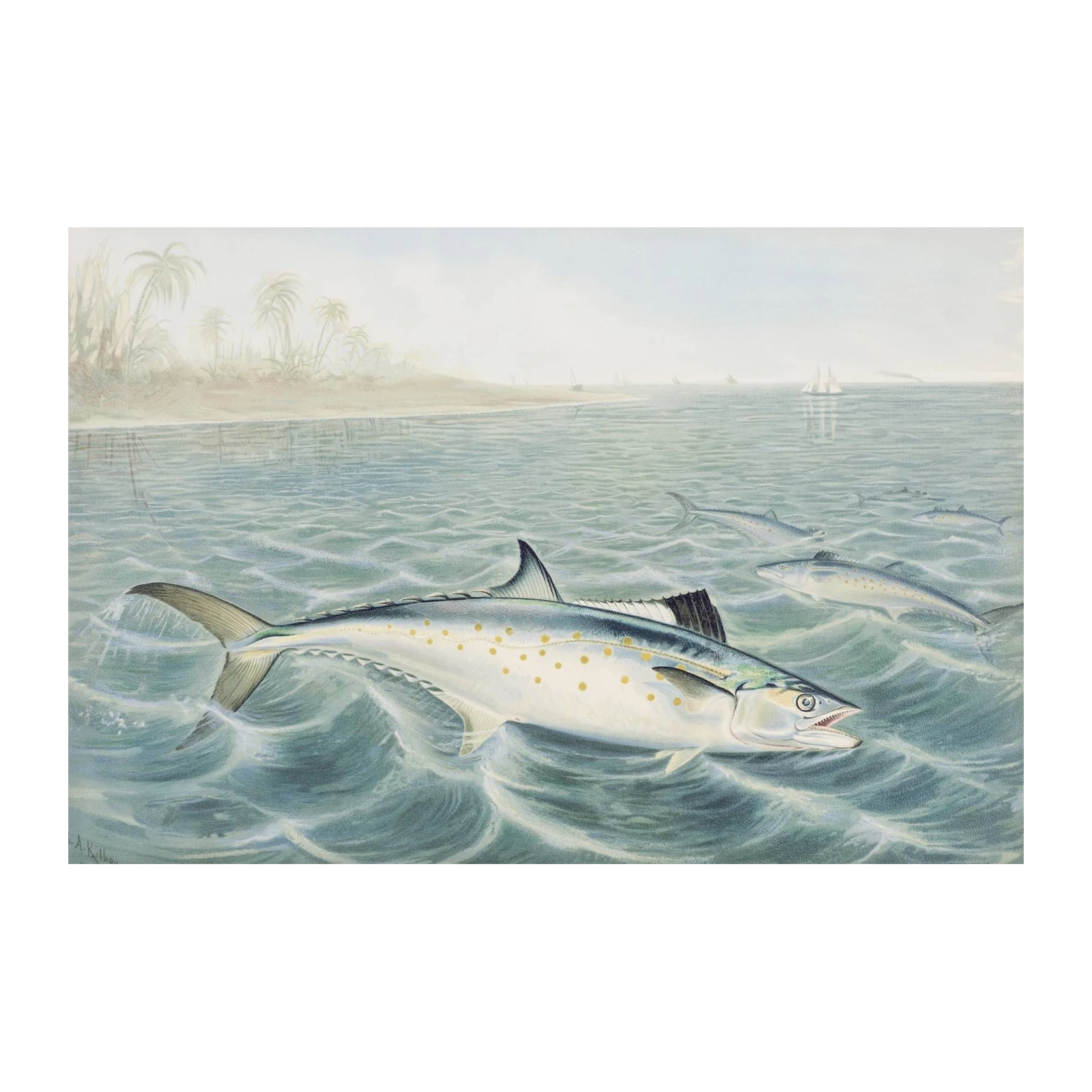 King Mackerel Coastal Scene Wall Art