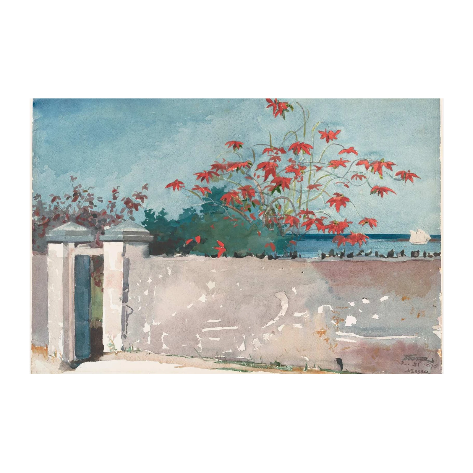 Vibrant Red Flowers Coastal Scene Wall Art