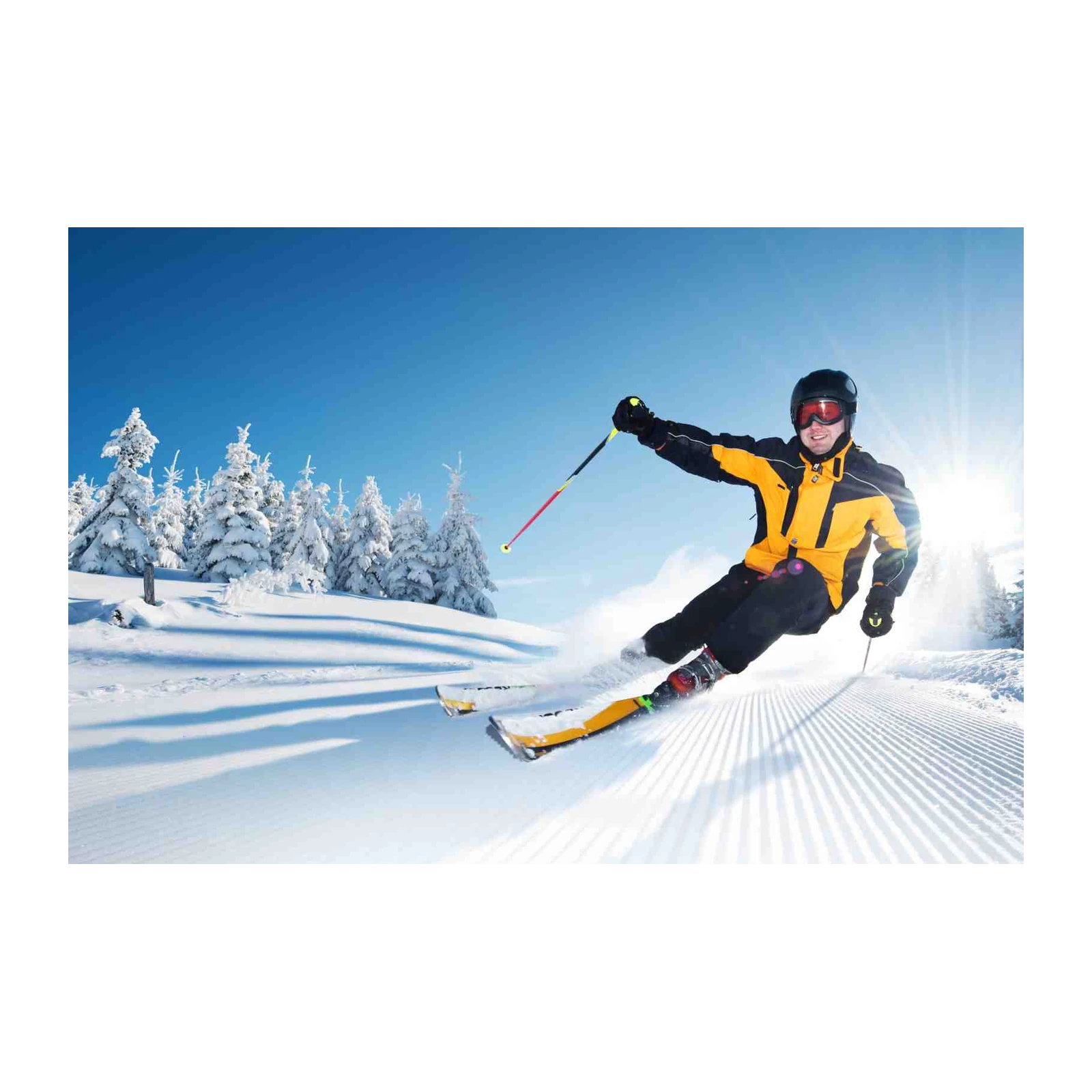 Action Snow Skiing Thrill Wall Art
