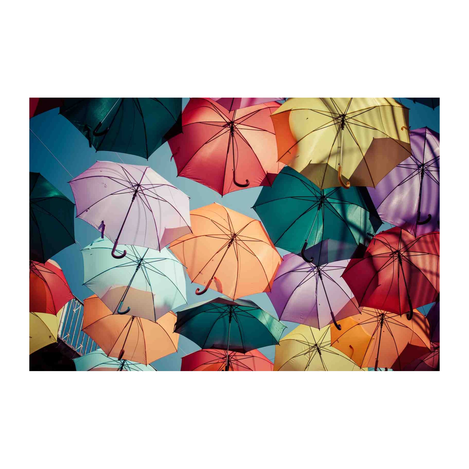 Vibrant Umbrella Sky Wall Art