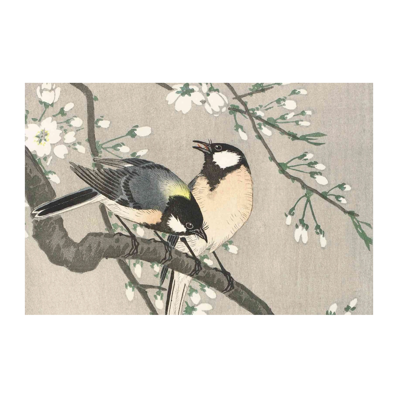 Charming Birds on Cherry Blossom Wall Art
