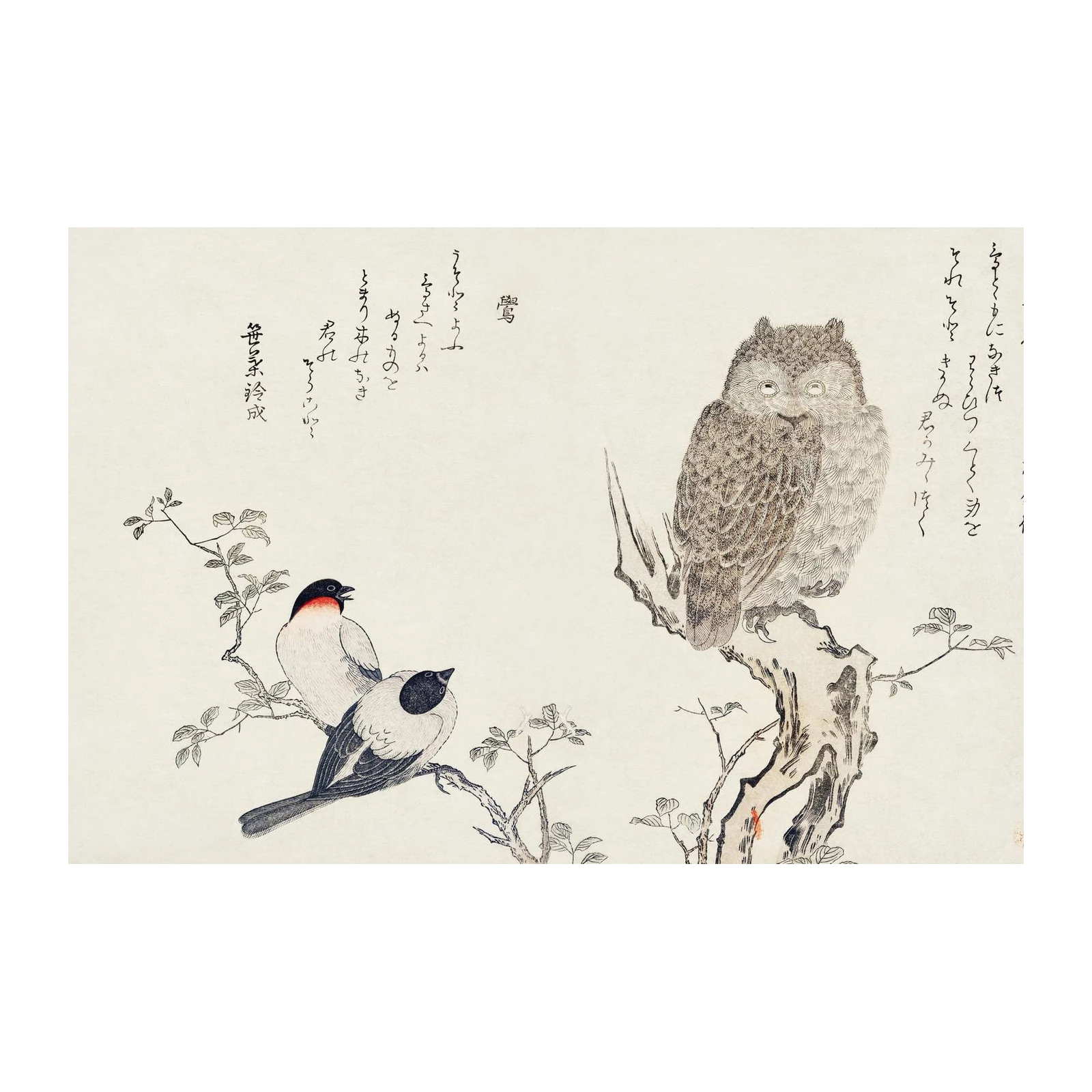 Vintage Owl & Birds Japanese Art Wall Art