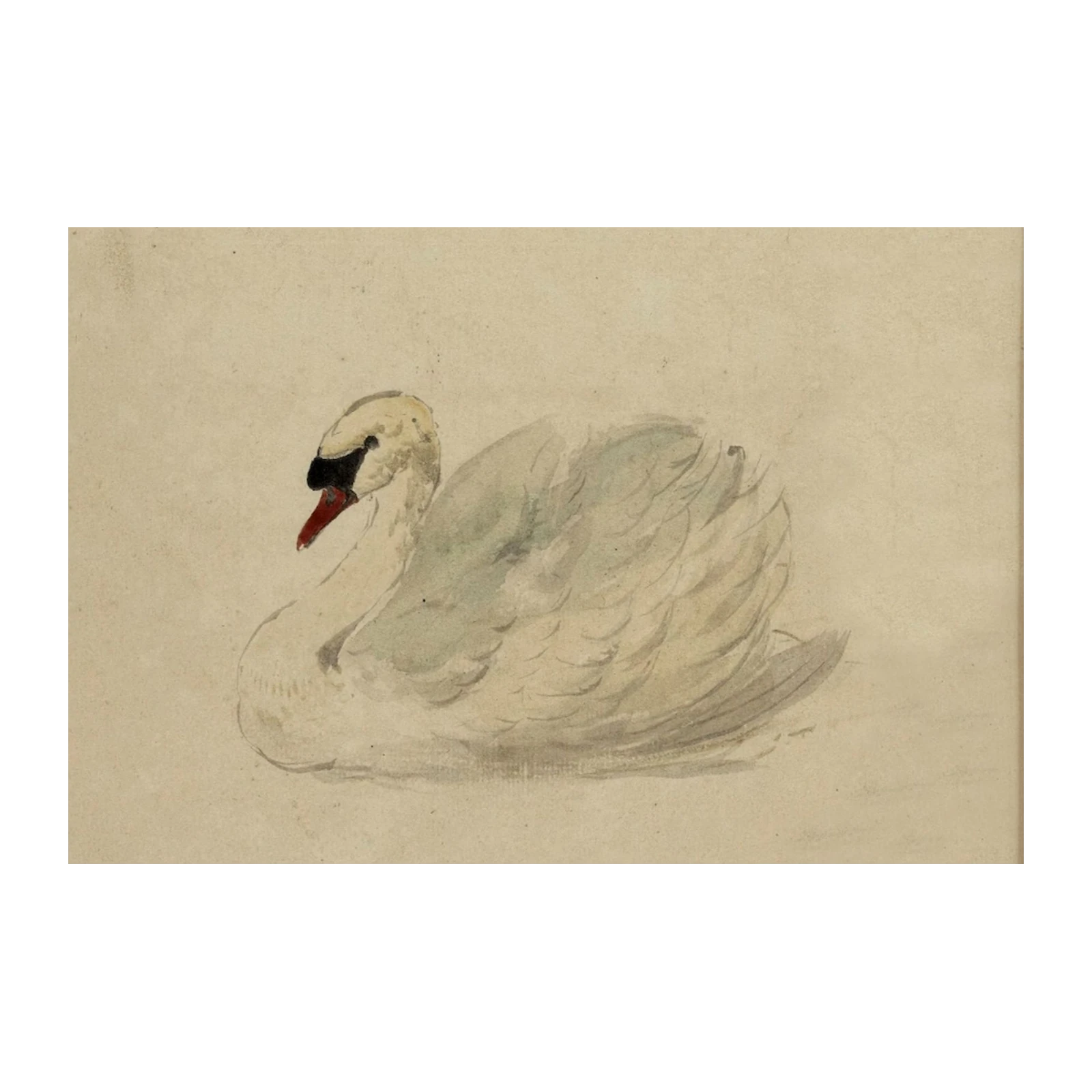 Elegant Swan Serenity Watercolor Wall Art