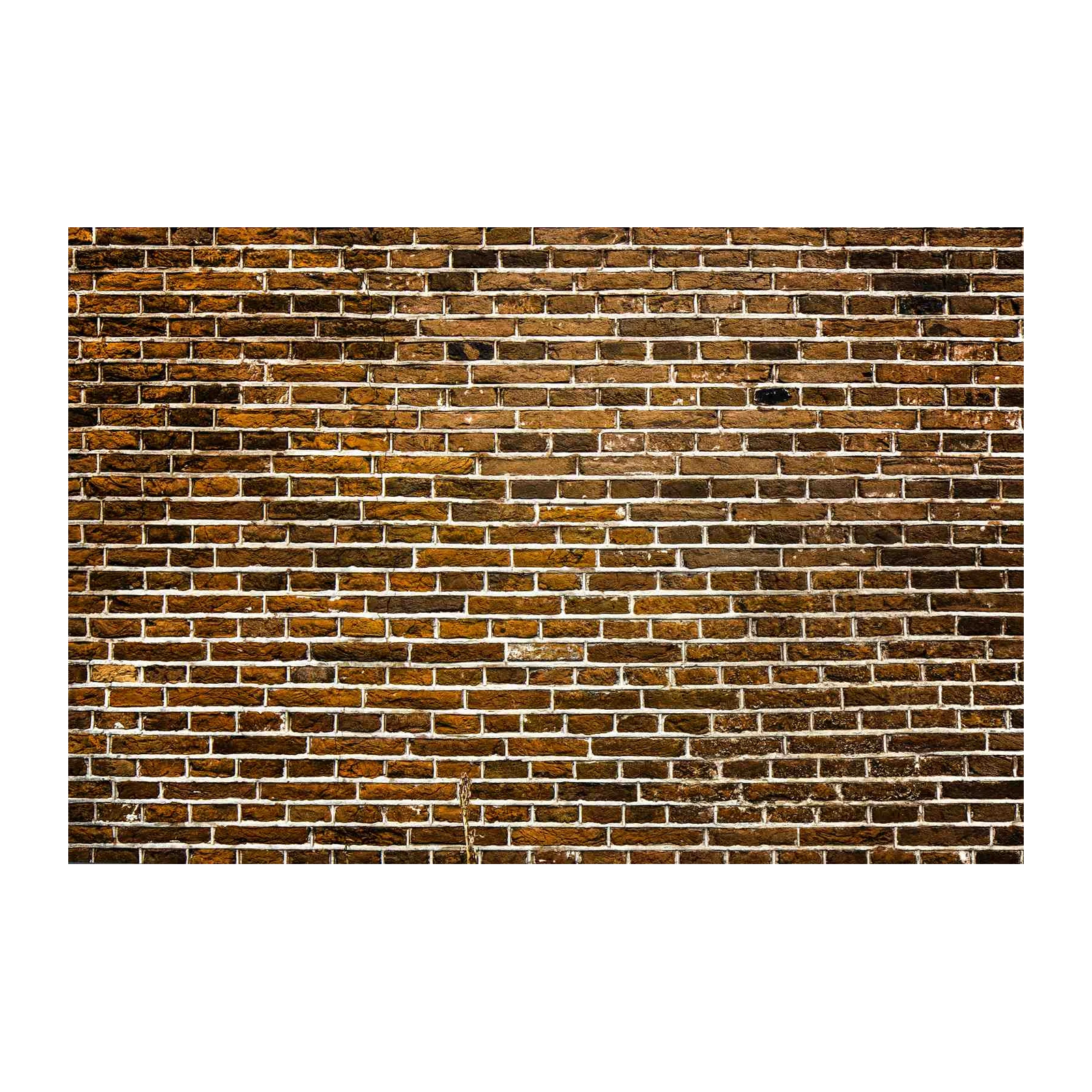 Rustic Red Brick Texture Wall Art