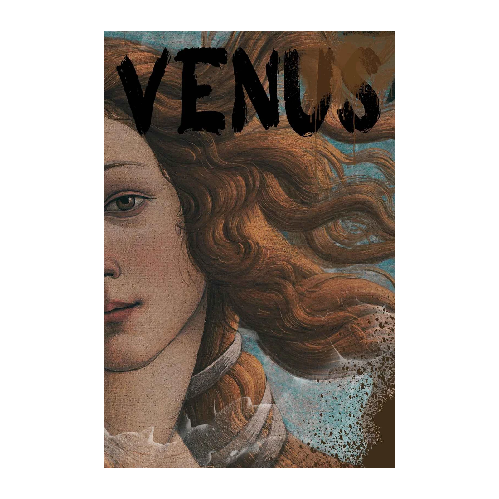 Neo-Classical "Venus" Artistic Wall Art