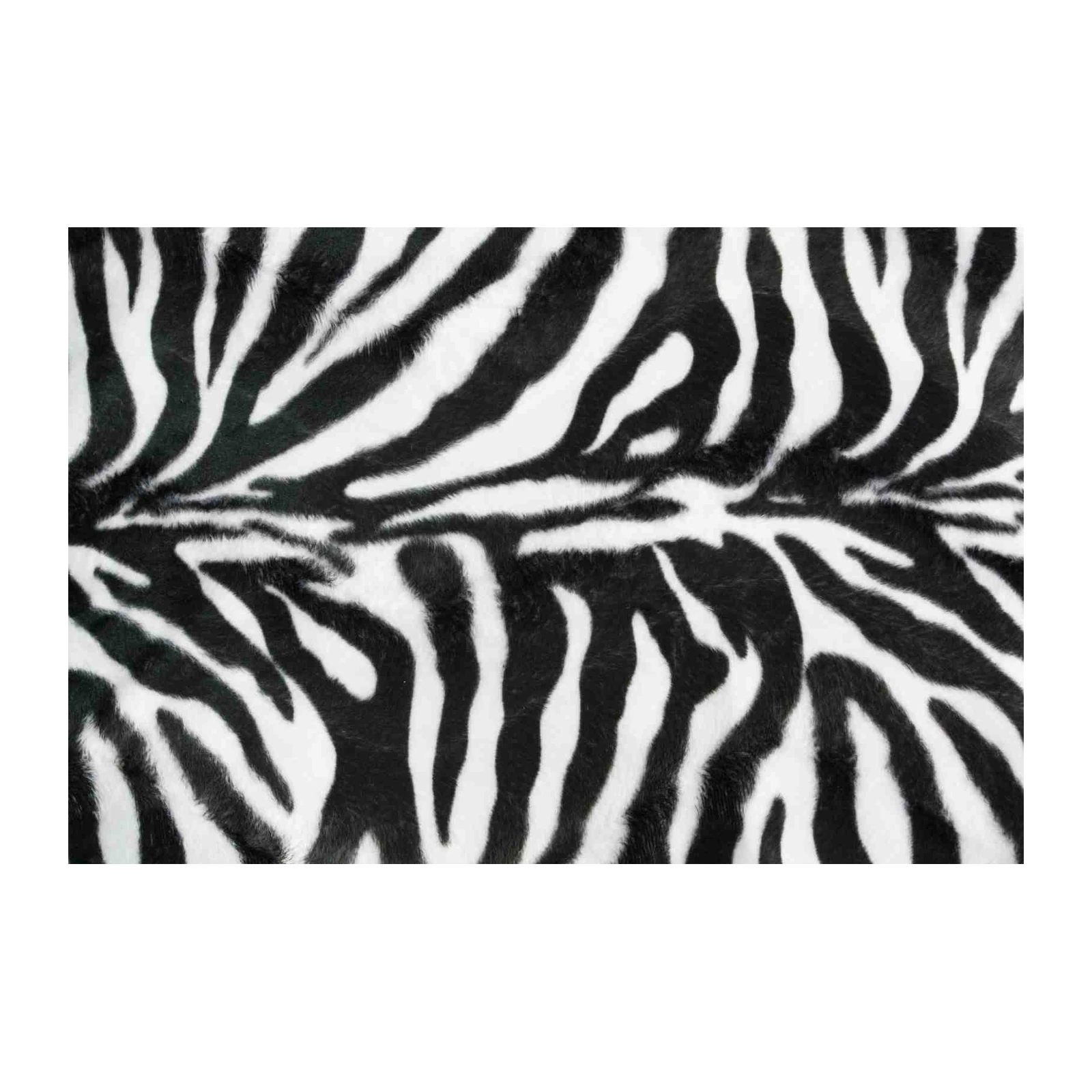 Bold Zebra Stripes Animal Print Wall Art