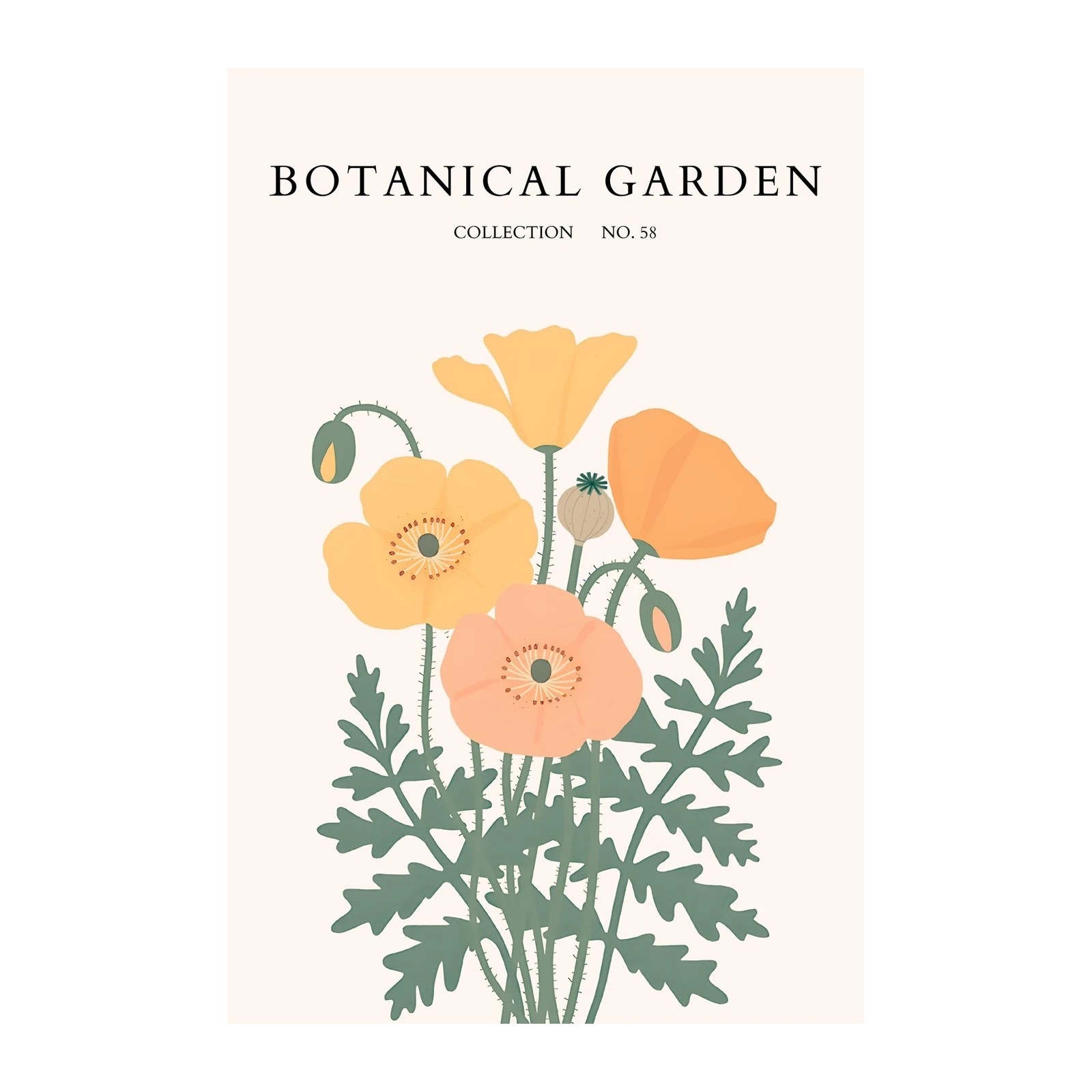 Botanical Poppies Collection Wall Art Wall Art