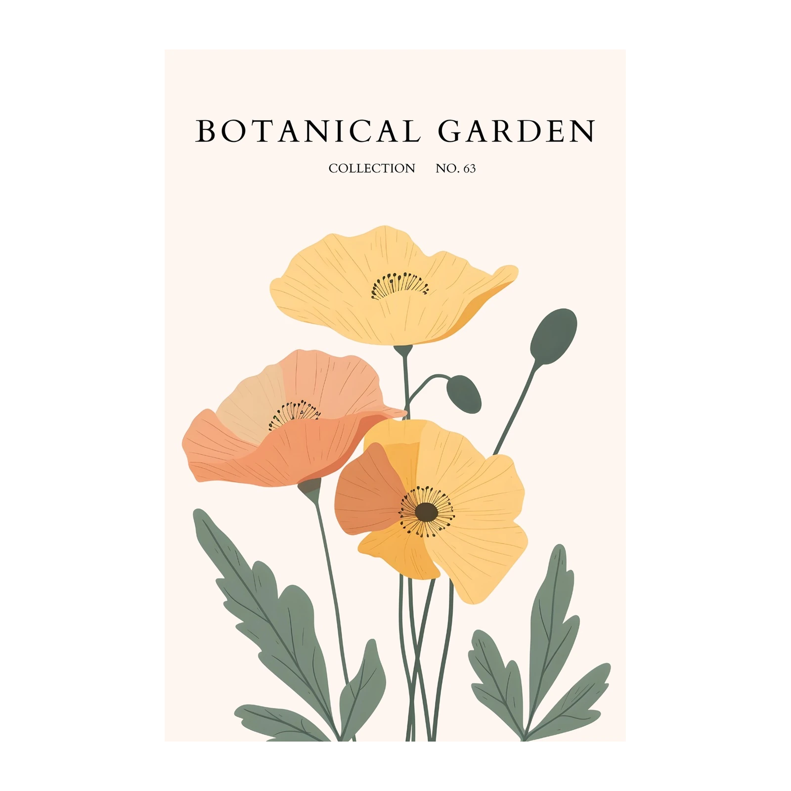 Botanical Garden Poppies Wall Art - Floral Wall Art