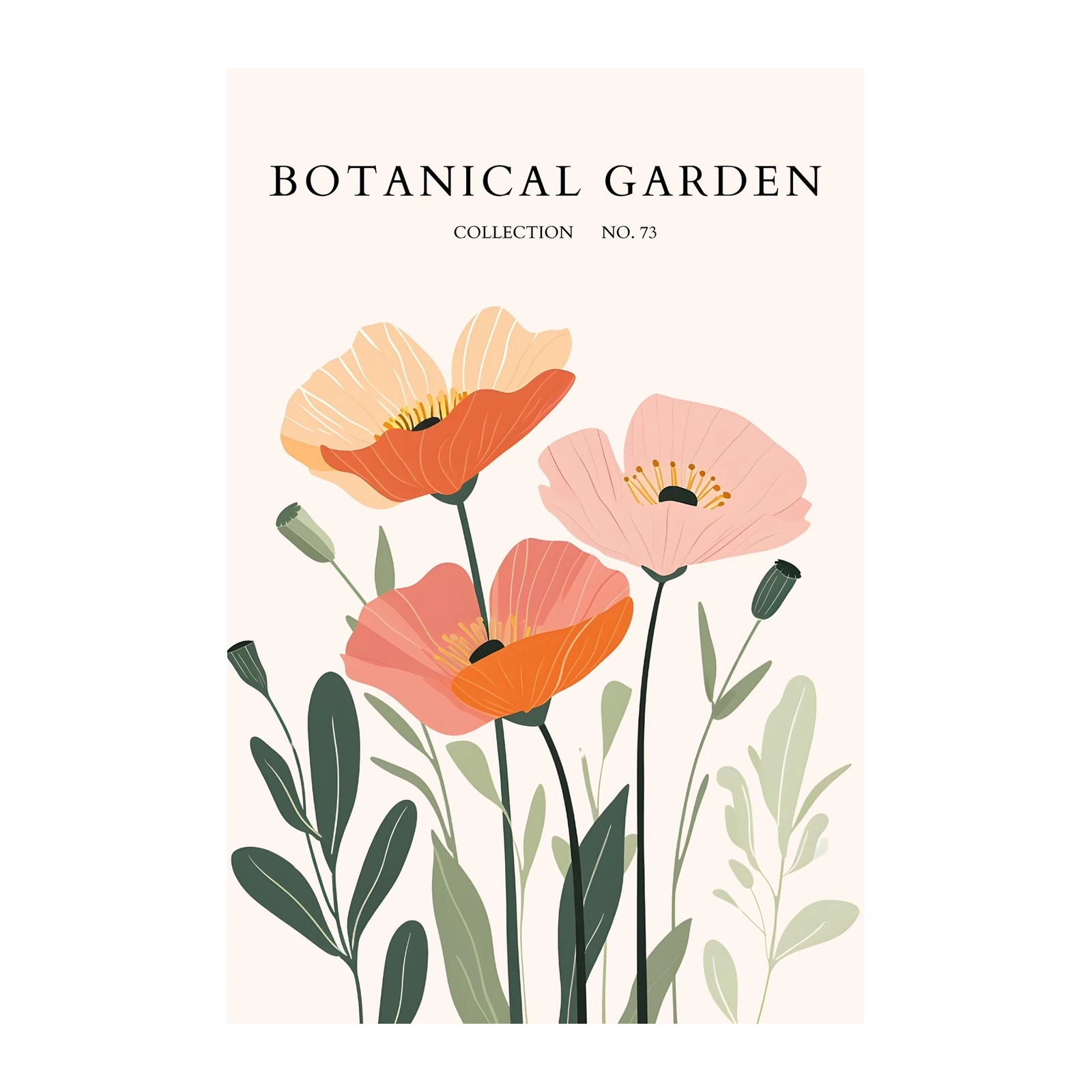 Botanical Poppy Floral Art Wall Art