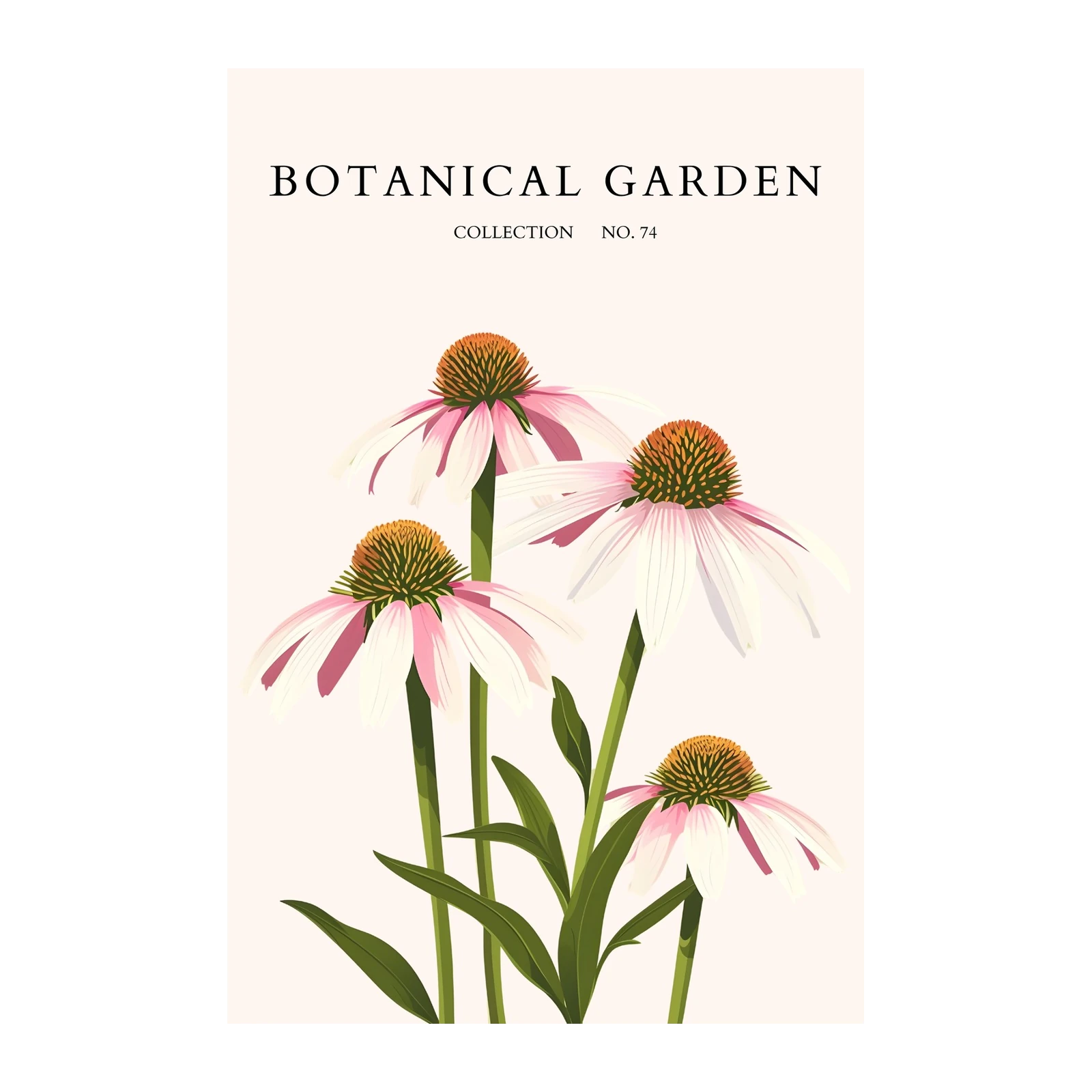 Echinacea Botanical Garden Wall Art