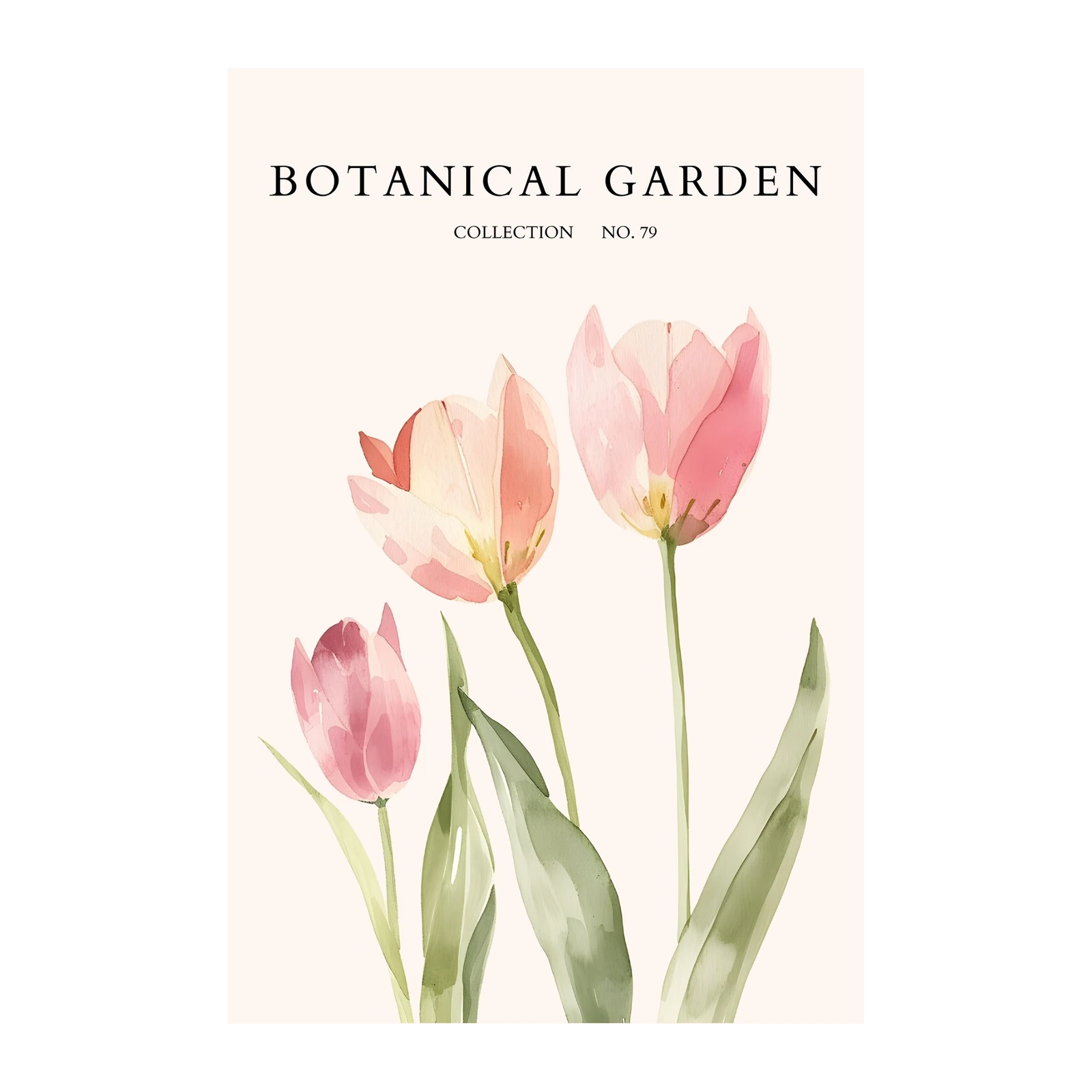 Soft Pink Tulips Botanical Wall Art