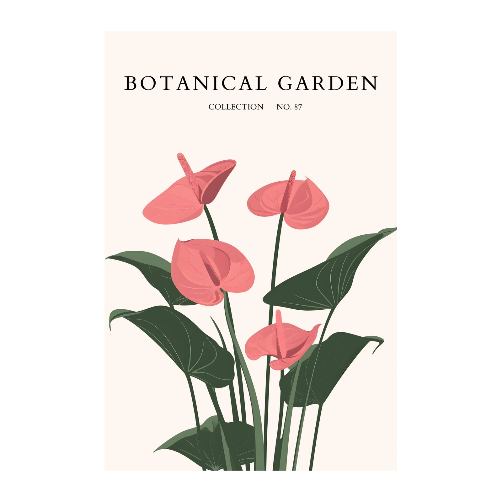 Elegant Pink Anthurium Botanical Garden Wall Art