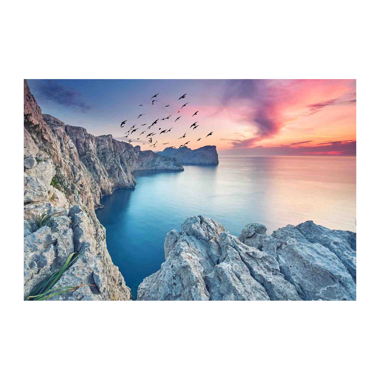 Coastal Serenity Birds Sunset Wall Art