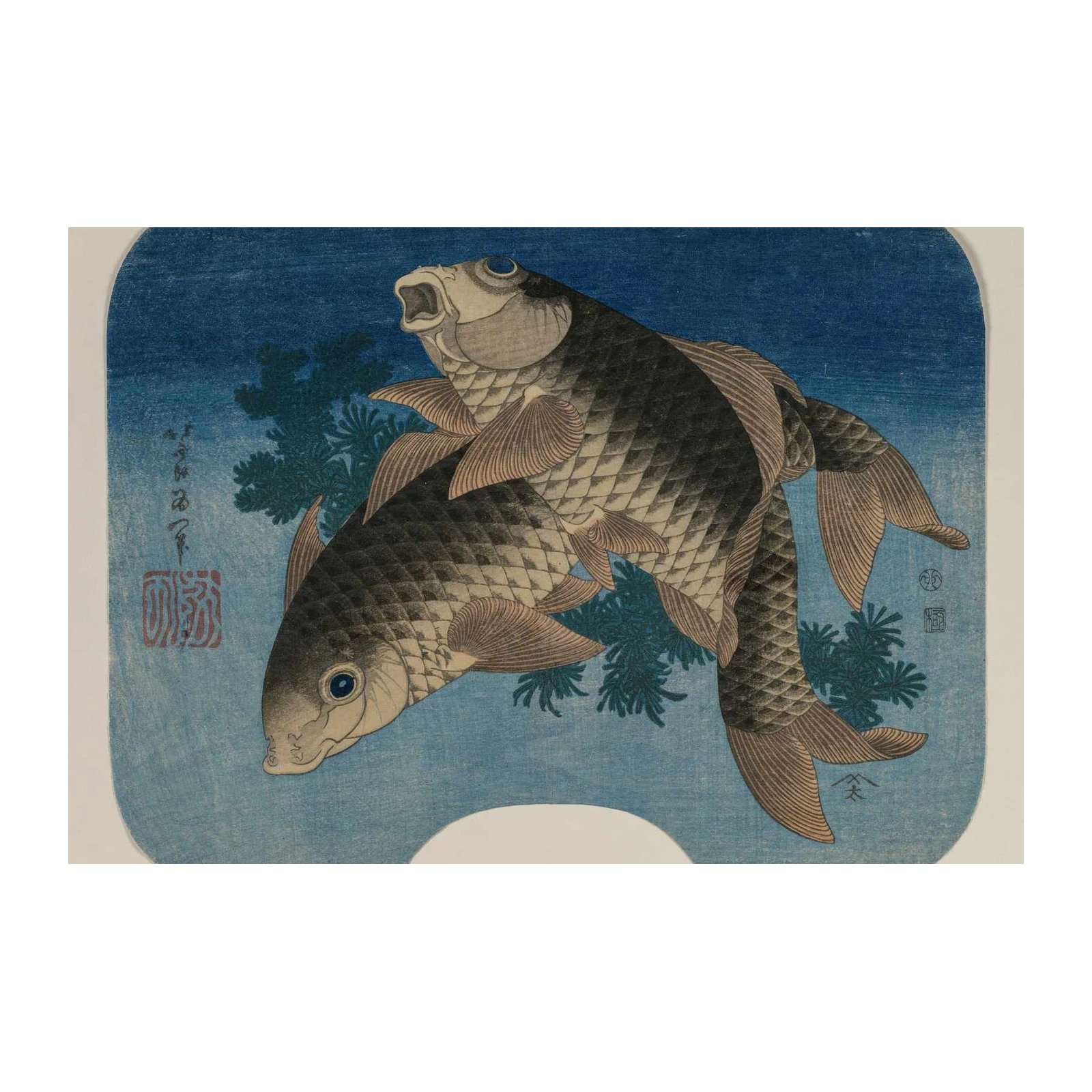 Japanese Koi Fish Serenity Wall Art