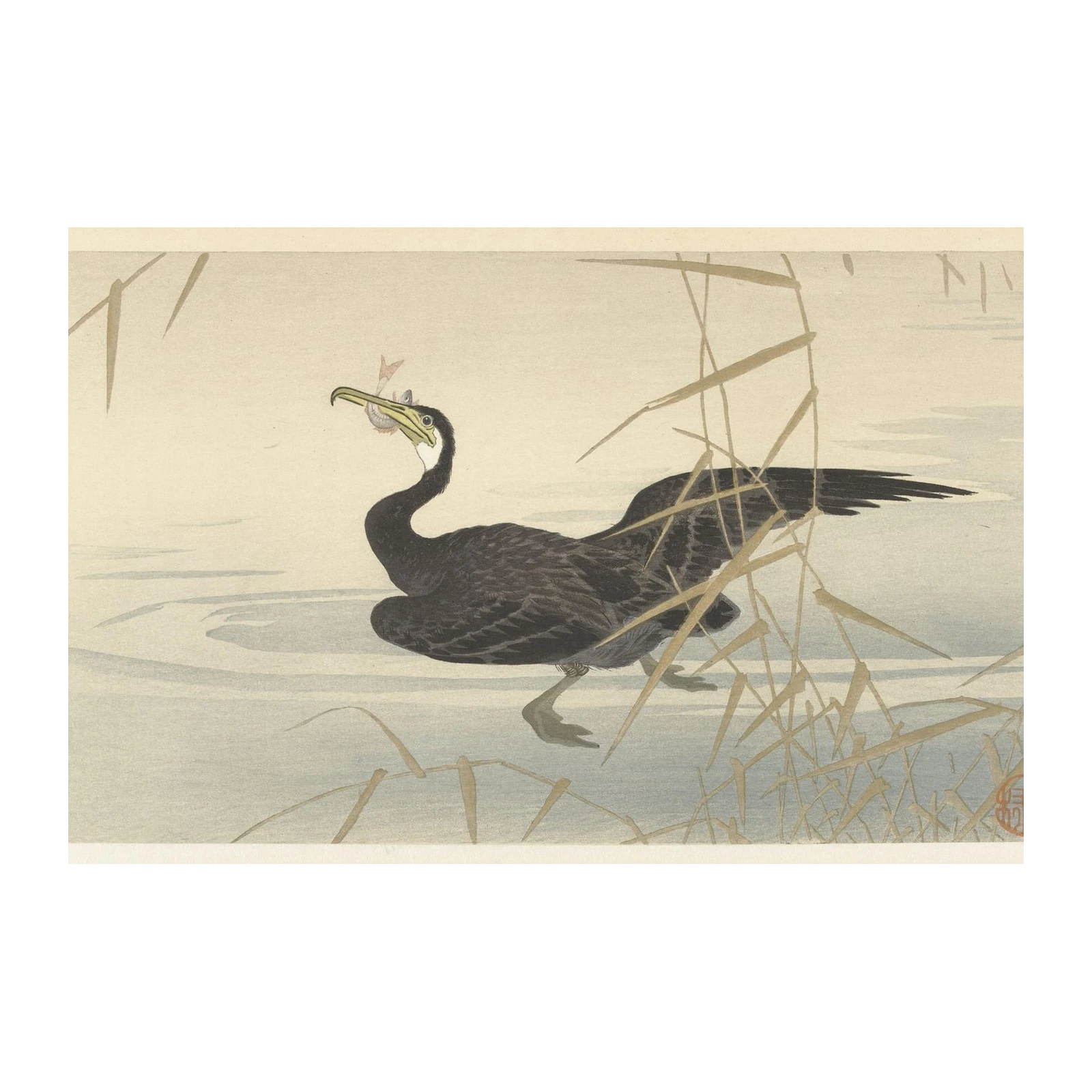 Serene Cormorant Catch Wall Art