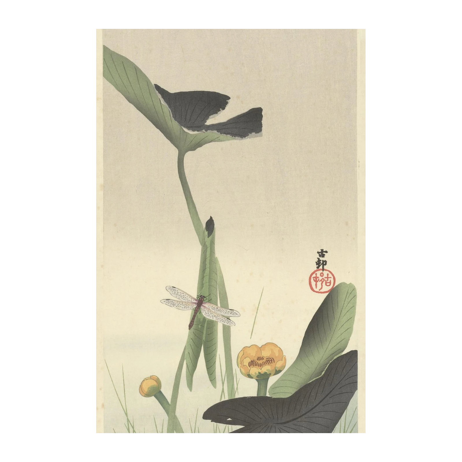 Tranquil Dragonfly & Lotus Wall Art