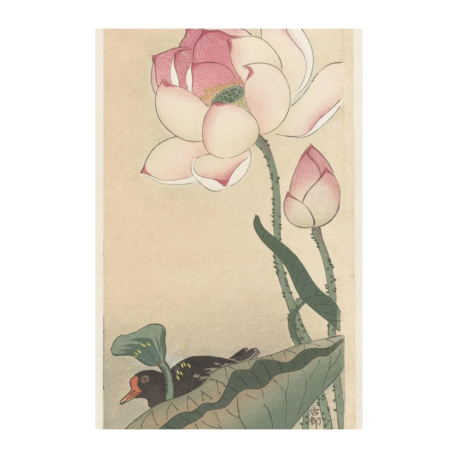 Tranquil Lotus Bird Japanese Art Wall Art