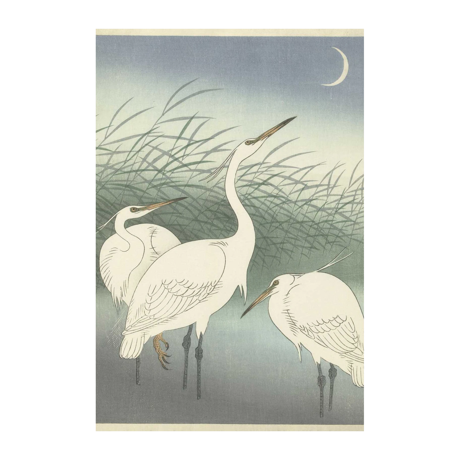 Tranquil Egrets Moonlit Reeds Wall Art